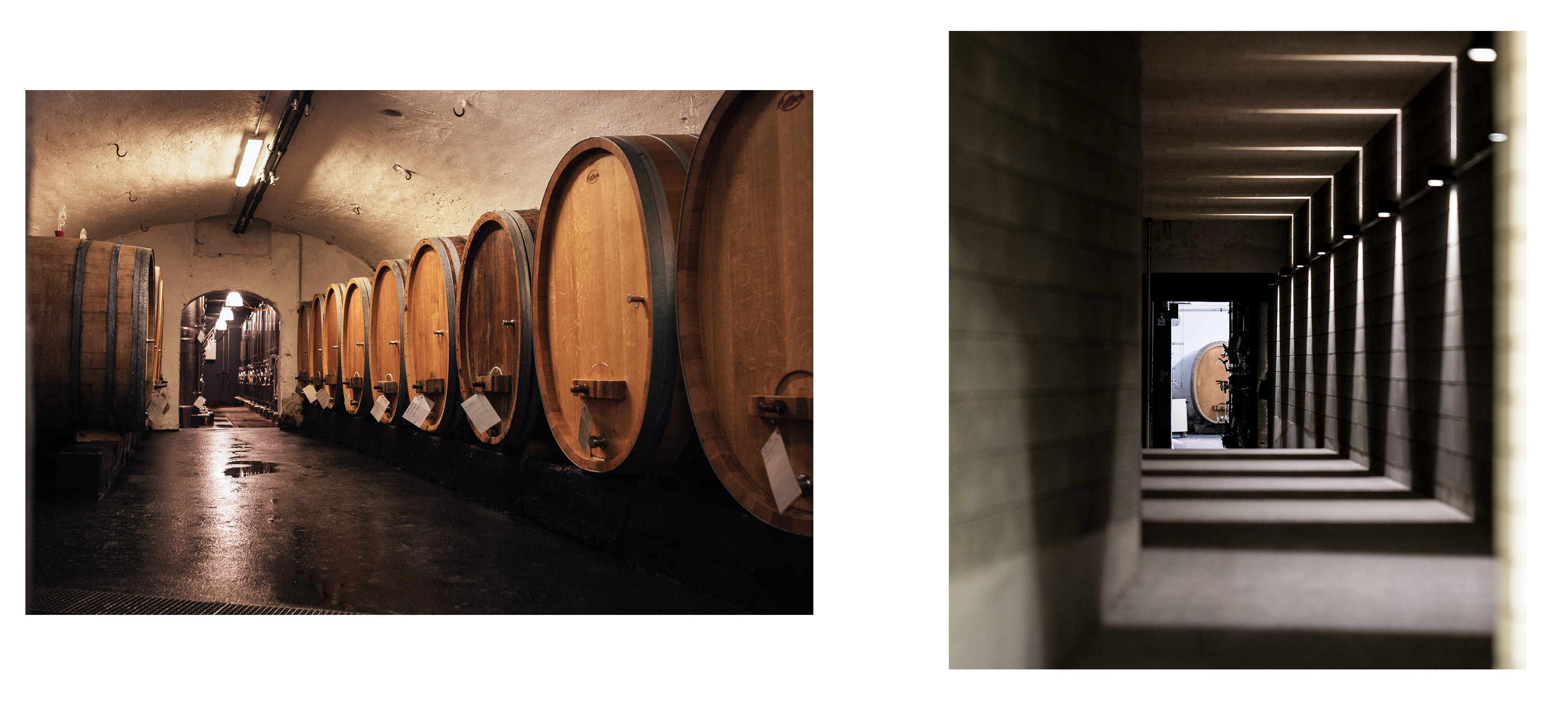 0001finalimage.jpg 0001finalimage.jpg