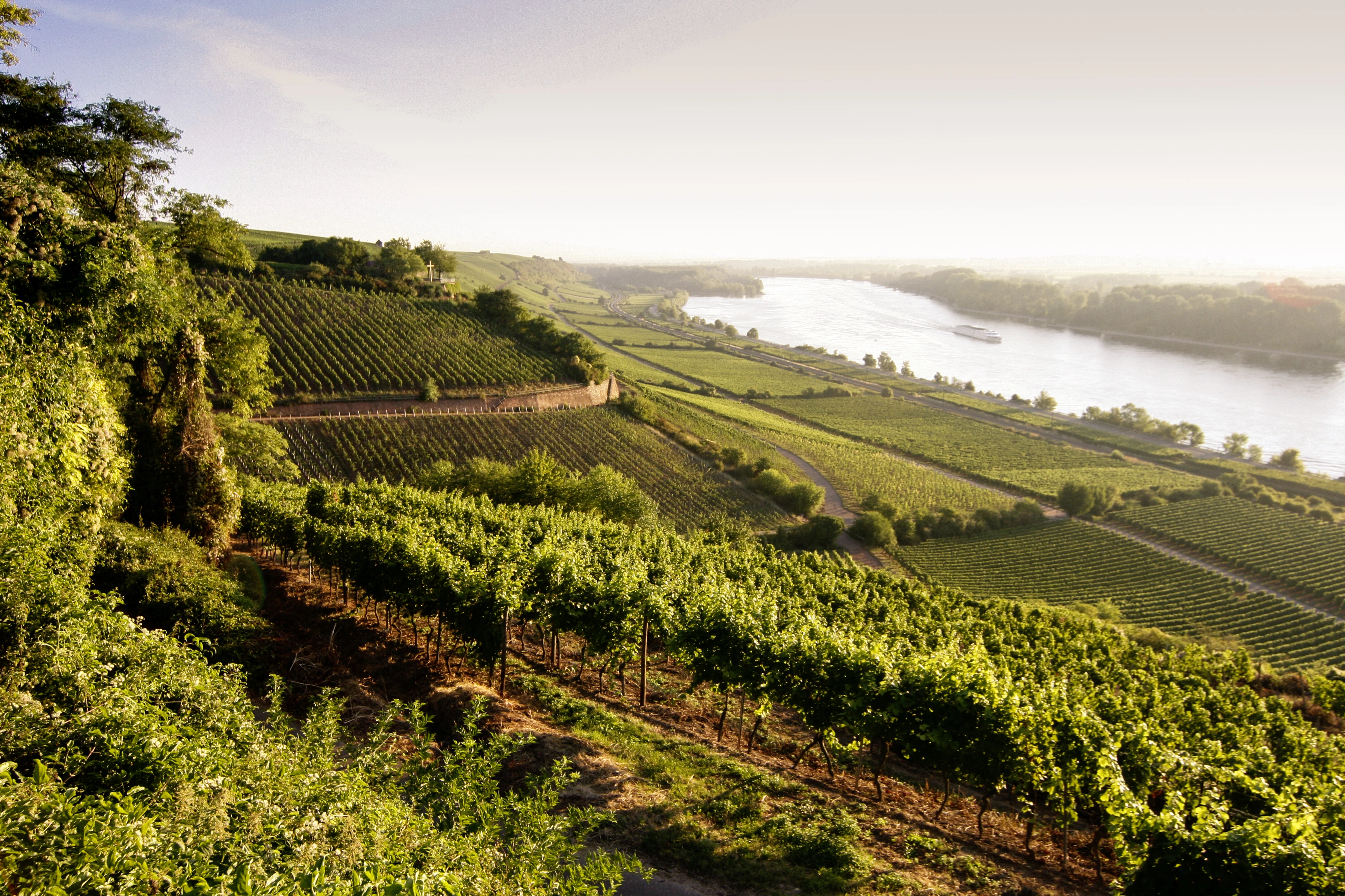 0105_Battenfeld_Spanier_Gallery_1_media.webp 0105_Battenfeld_Spanier_Gallery_1_media.webp