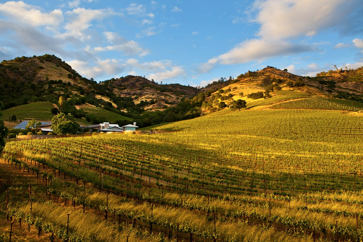 0144_Shafer_Gallery_11_media.webp 0144_Shafer_Gallery_11_media.webp