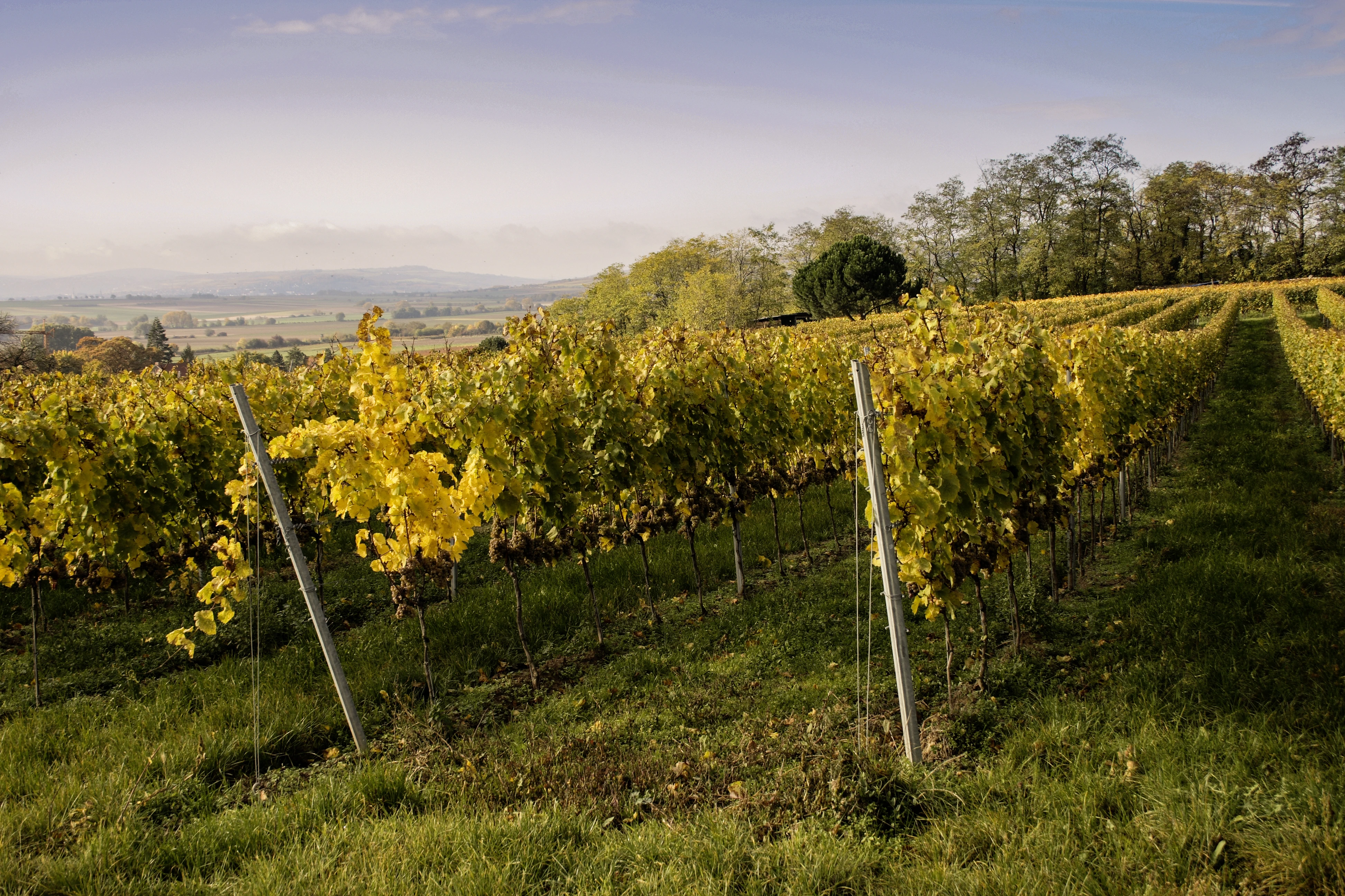 0209_Kuhling_Gillot_Gallery_1_media.webp 0209_Kuhling_Gillot_Gallery_1_media.webp