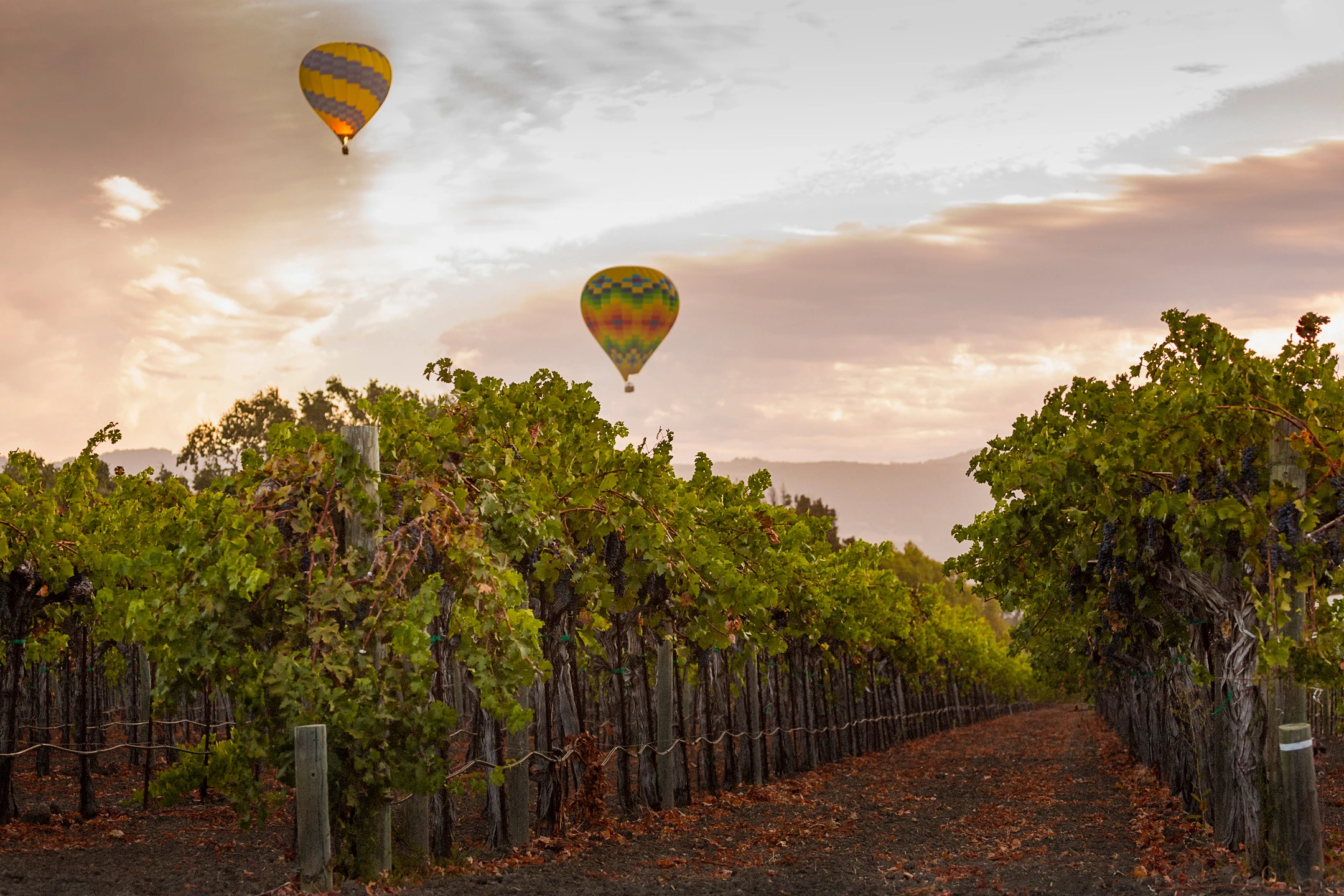 0263_Paradigm_Gallery_1_media.webp 0263_Paradigm_Gallery_1_media.webp