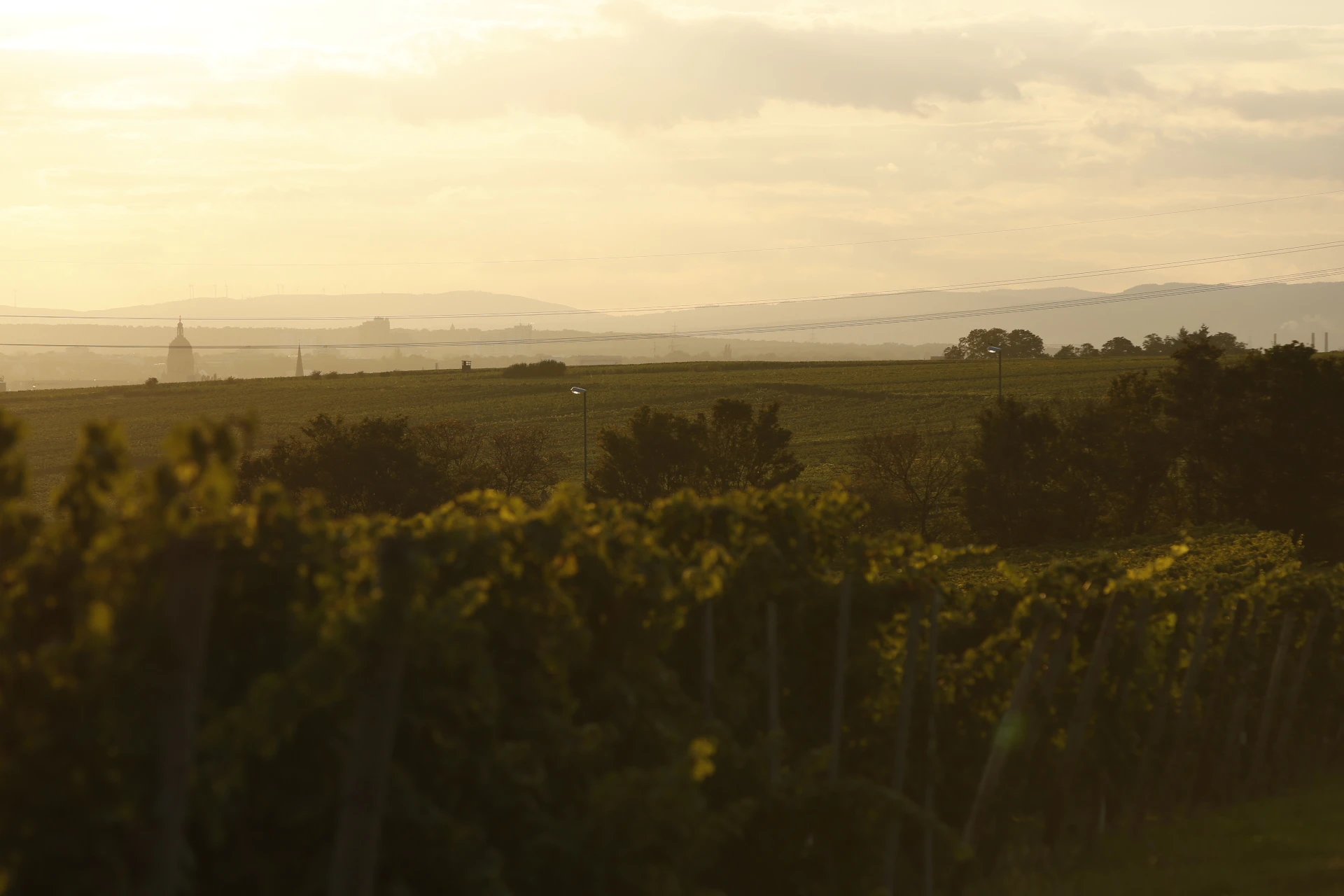 0272_Kunstler_Gallery_1_media.webp 0272_Kunstler_Gallery_1_media.webp