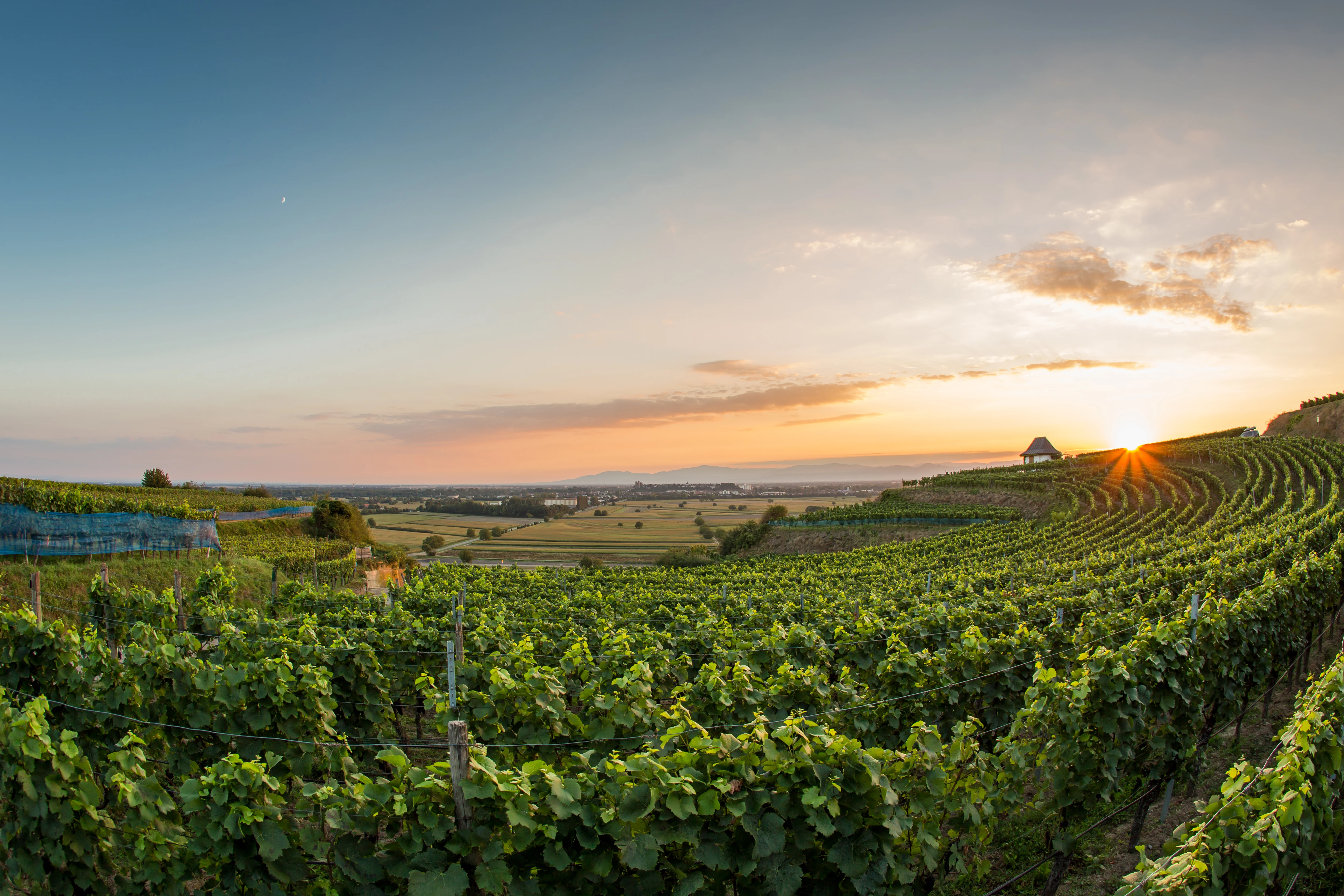 0301_Dr_Heger_Gallery_1_media.webp 0301_Dr_Heger_Gallery_1_media.webp