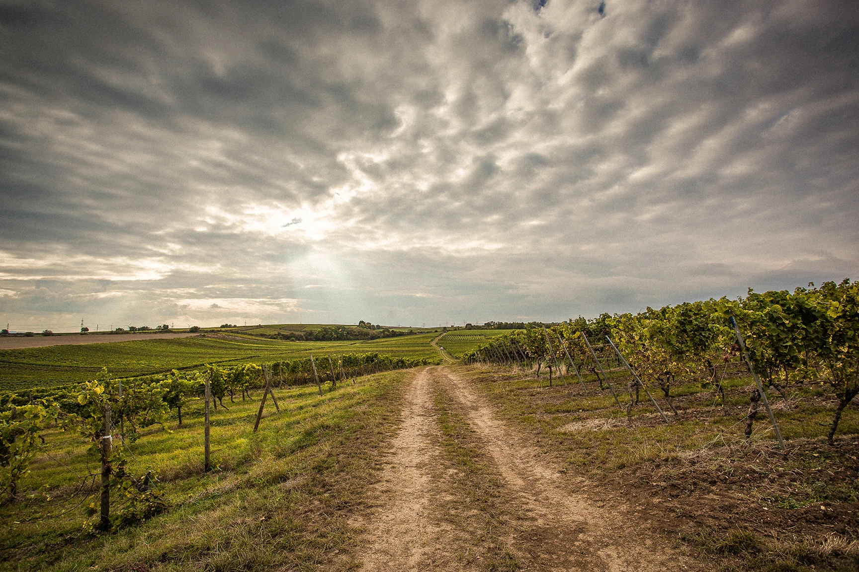 0363_Karl_May_Gallery_1_media.webp 0363_Karl_May_Gallery_1_media.webp