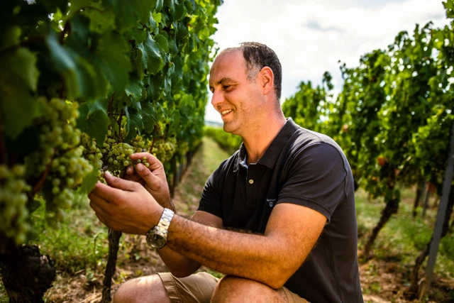 0396_Dr_Koehler_Gallery_1_media.0396-Dr-Koehler-Gallery-1.webp 0396_Dr_Koehler_Gallery_1_media.0396-Dr-Koehler-Gallery-1.webp