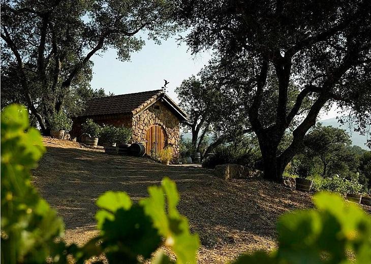 03d85187-3e3a-4346-a5f2-8d9c504b5366.jpg 03d85187-3e3a-4346-a5f2-8d9c504b5366.jpg