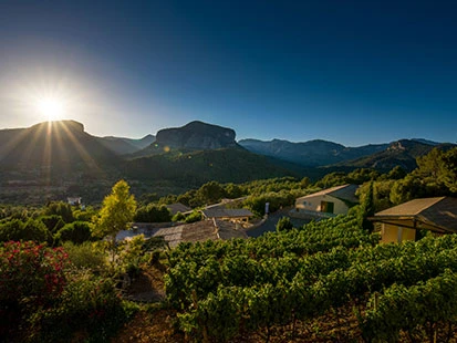 1048_Castell_Miquel_Gallery_1_media.webp 1048_Castell_Miquel_Gallery_1_media.webp