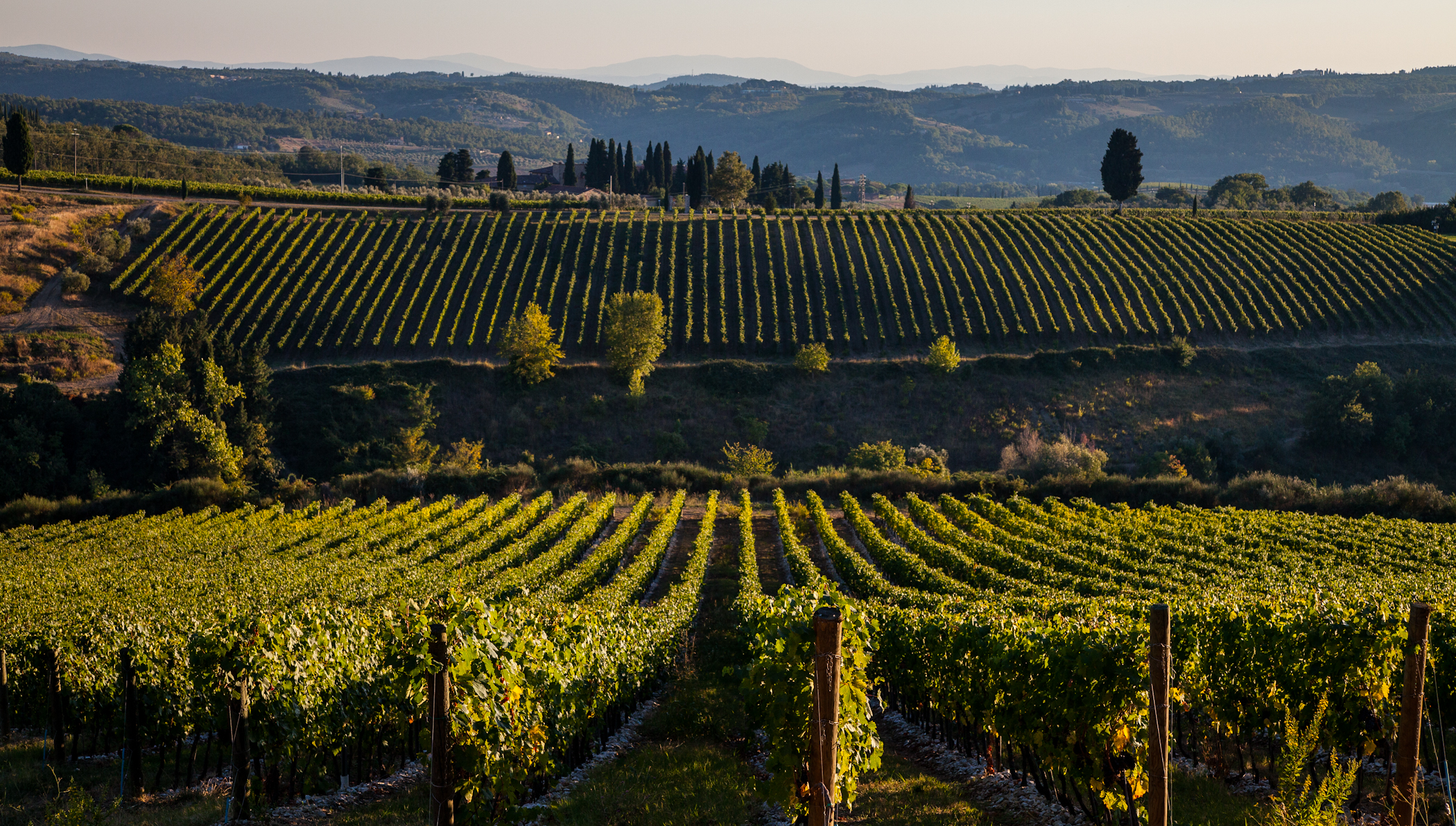 20130923_Antinori_0321.jpg 20130923_Antinori_0321.jpg