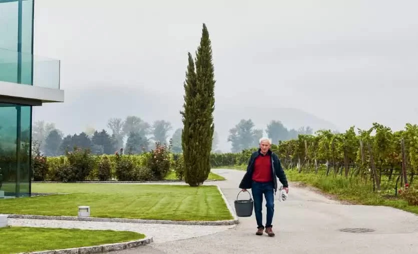 605_F_X_Pichler_Gallery_1_media.webp 605_F_X_Pichler_Gallery_1_media.webp