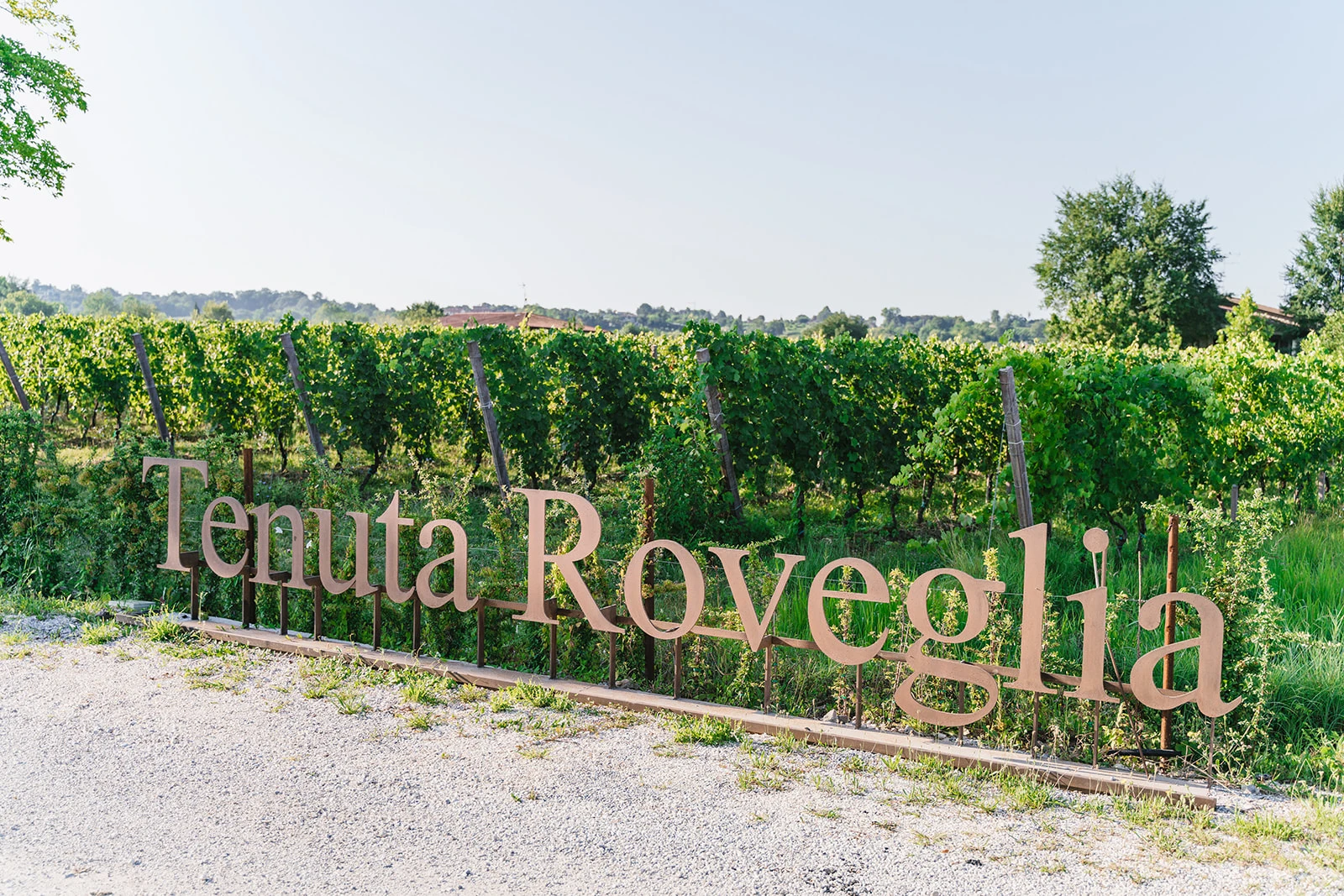 782_Tenuta_Roveglia_Gallery_1_media.webp 782_Tenuta_Roveglia_Gallery_1_media.webp