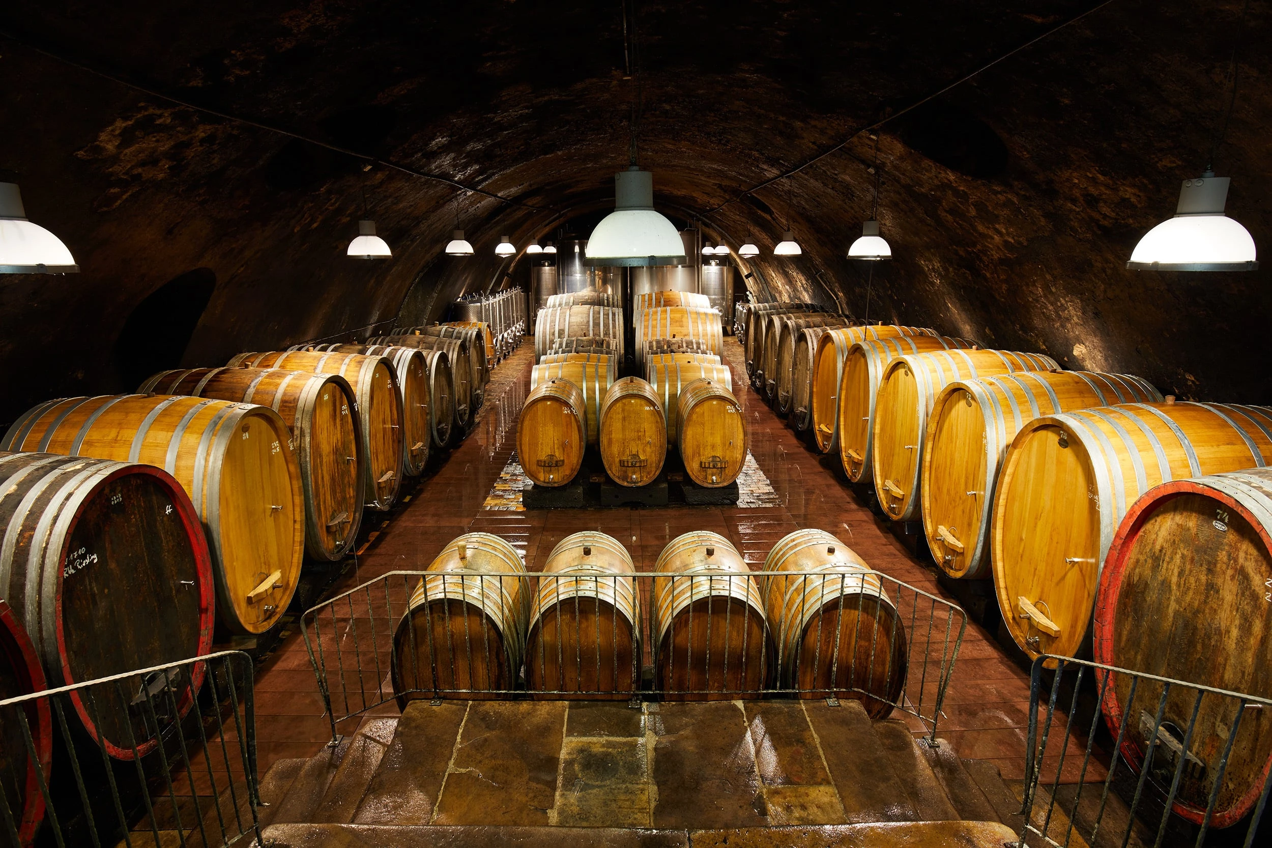 849_Weingut_Wittmann_Gallery_1_media.webp 849_Weingut_Wittmann_Gallery_1_media.webp