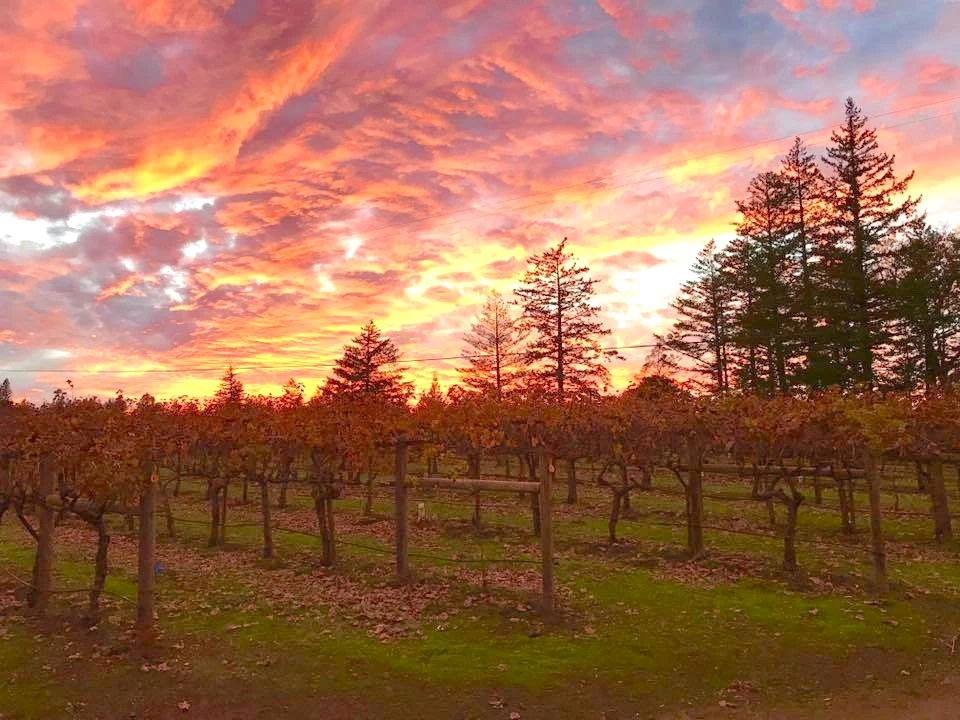 870_Lamborn_Gallery_1_media.webp 870_Lamborn_Gallery_1_media.webp