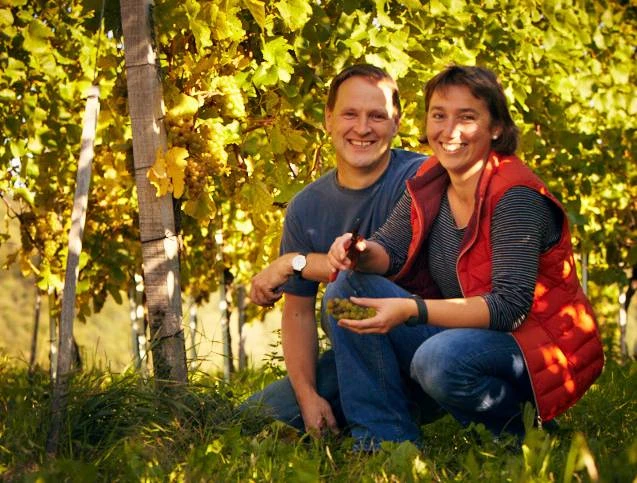 880_Weingut_Holger_Koch_Gallery_2_media.webp 880_Weingut_Holger_Koch_Gallery_2_media.webp