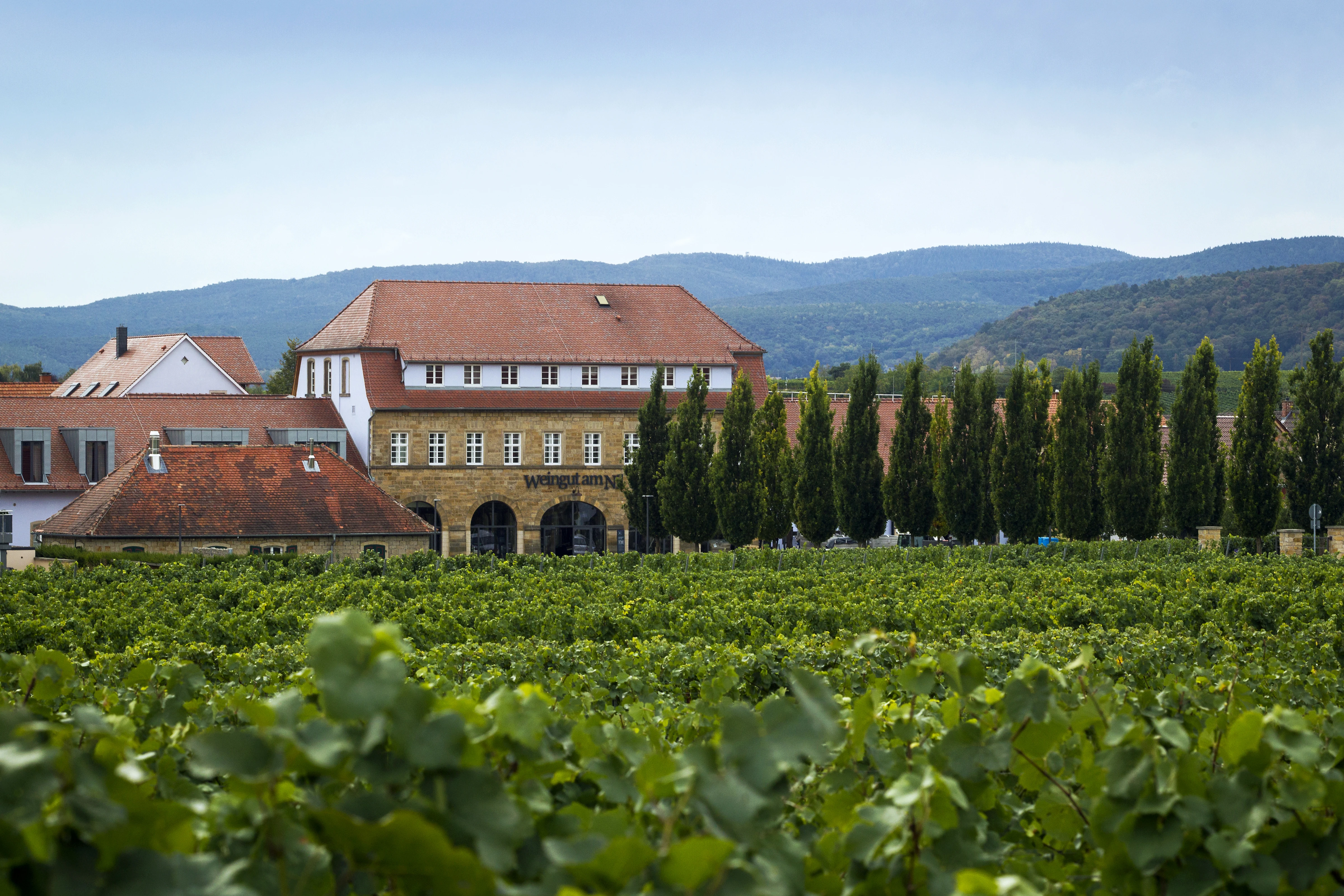 933_Weingut_am_Nil_Gallery_1_media.webp 933_Weingut_am_Nil_Gallery_1_media.webp
