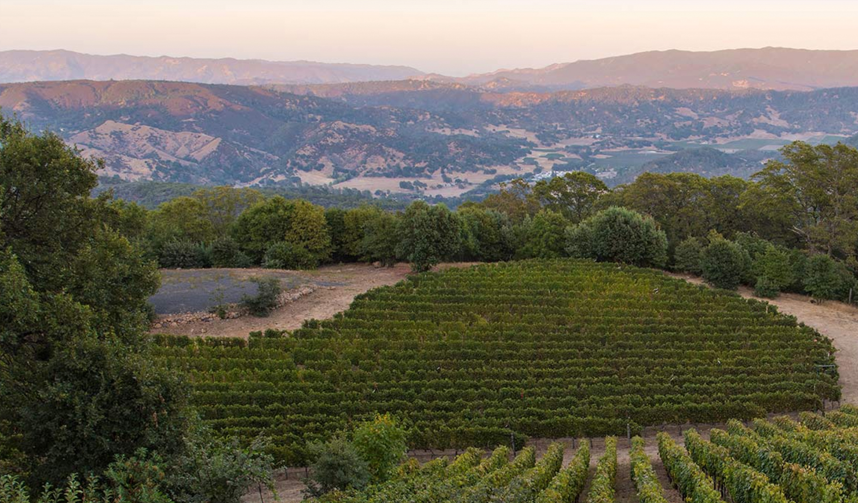 Au Sommet.jpg Au Sommet.jpg