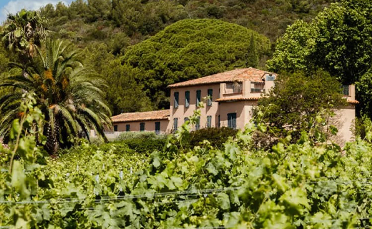 Chateau Galoupet.jpg Chateau Galoupet.jpg