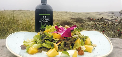 Mango_Salat_mit_Nusskernmix.webp Mango_Salat_mit_Nusskernmix.webp