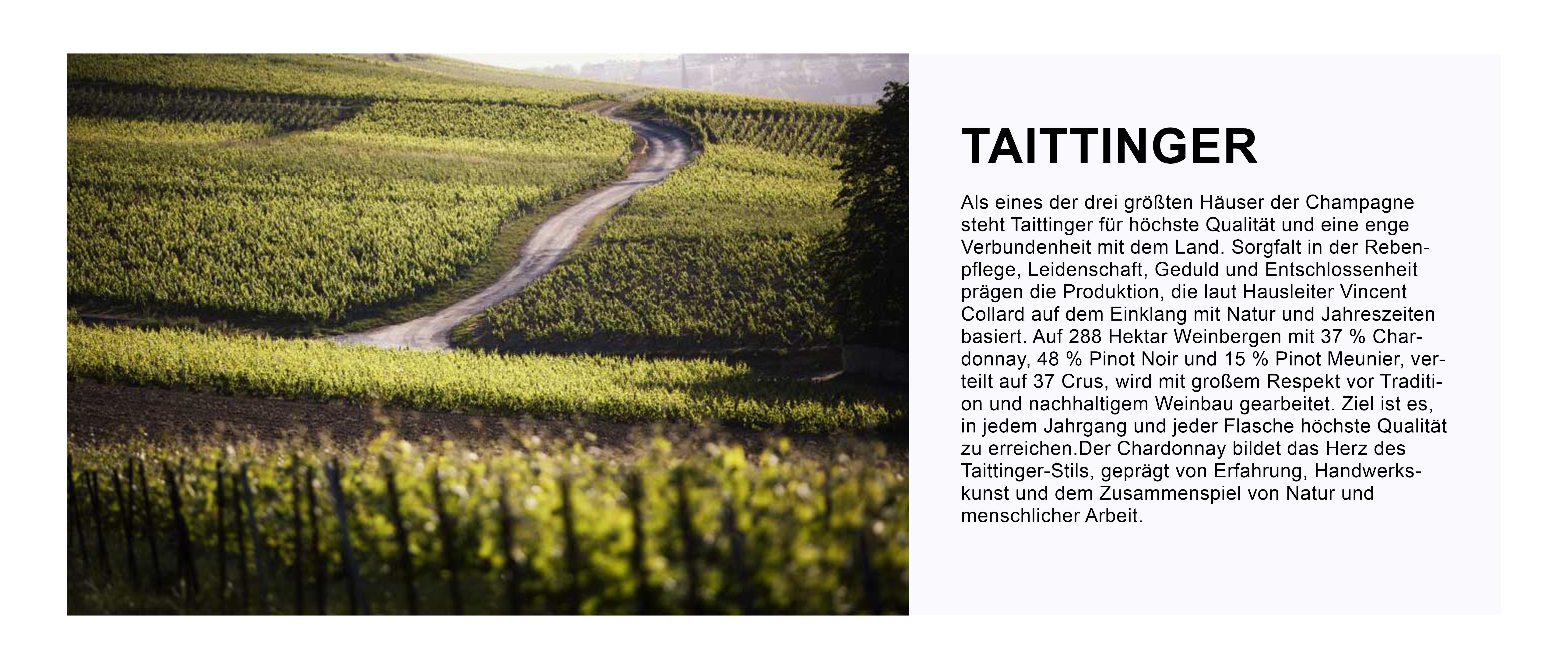 TAITTINGERTEXT02.jpg TAITTINGERTEXT02.jpg