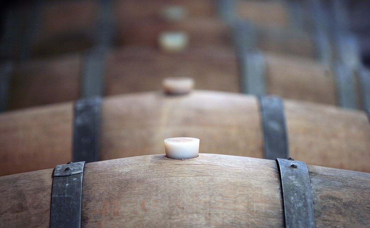 TENUTA.jpg TENUTA.jpg