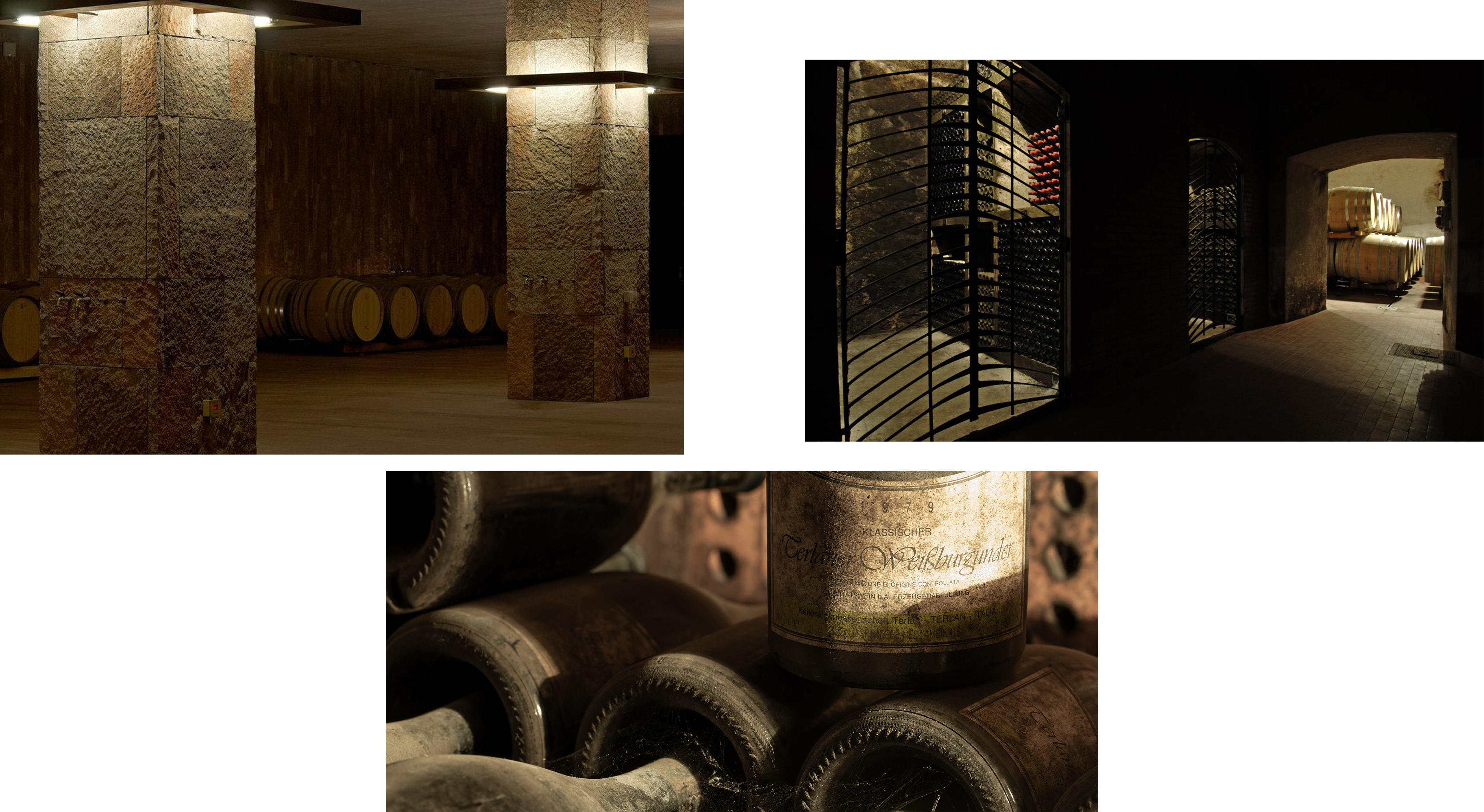 TERLANKELLERIMAGE.jpg TERLANKELLERIMAGE.jpg