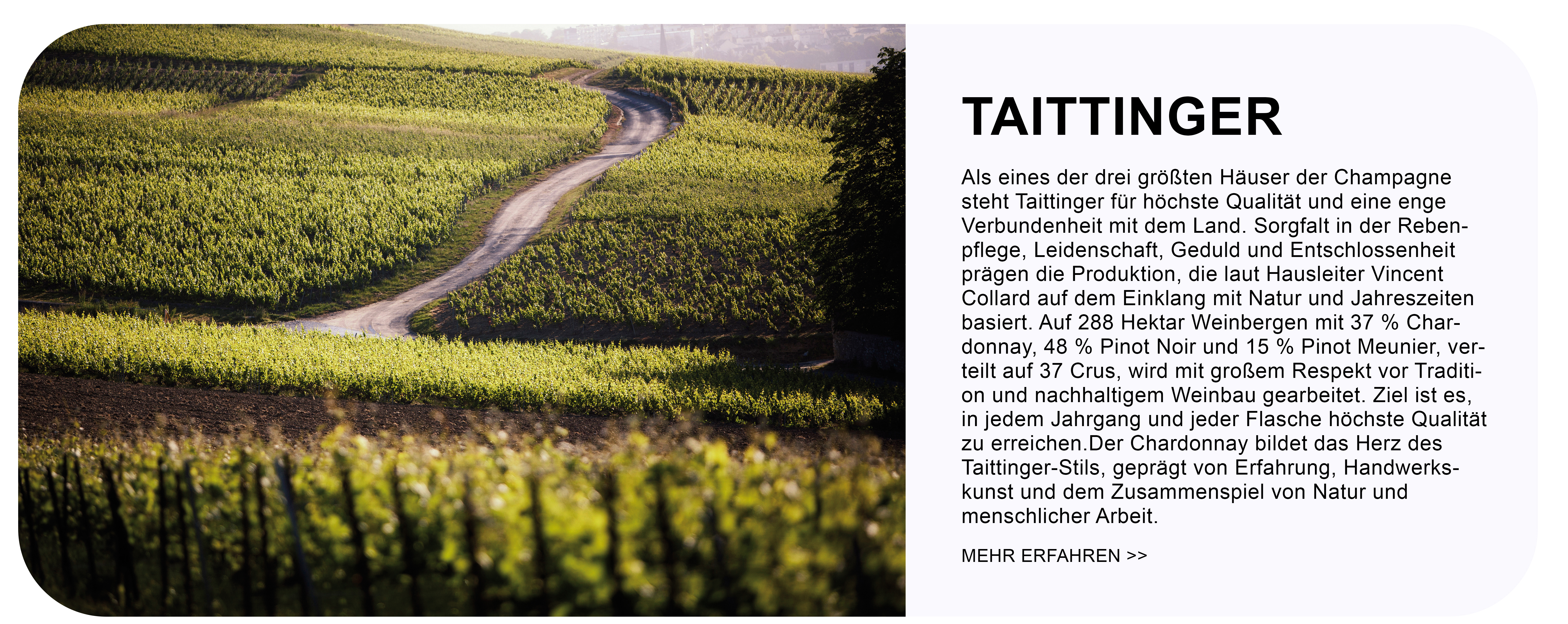 Taittingershorttext.jpg Taittingershorttext.jpg