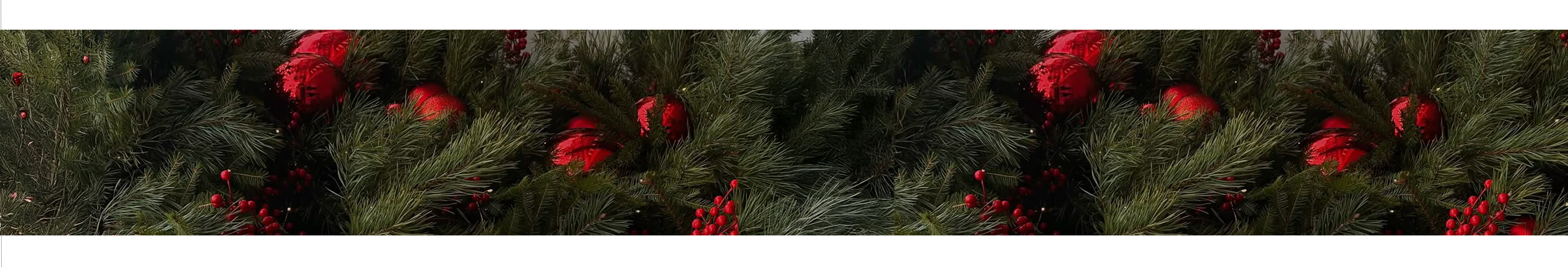 Weihnachten trenner.jpg Weihnachten trenner.jpg