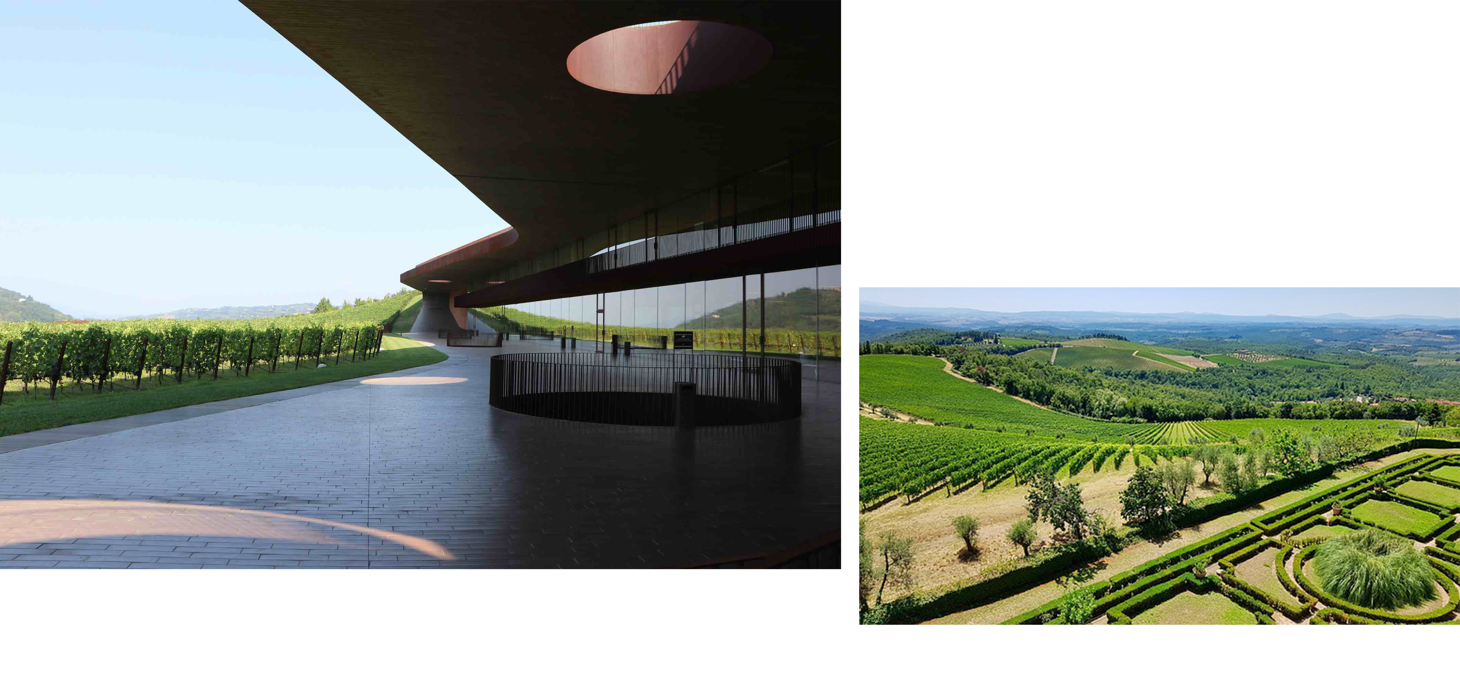 antinoriimage04.jpg antinoriimage04.jpg