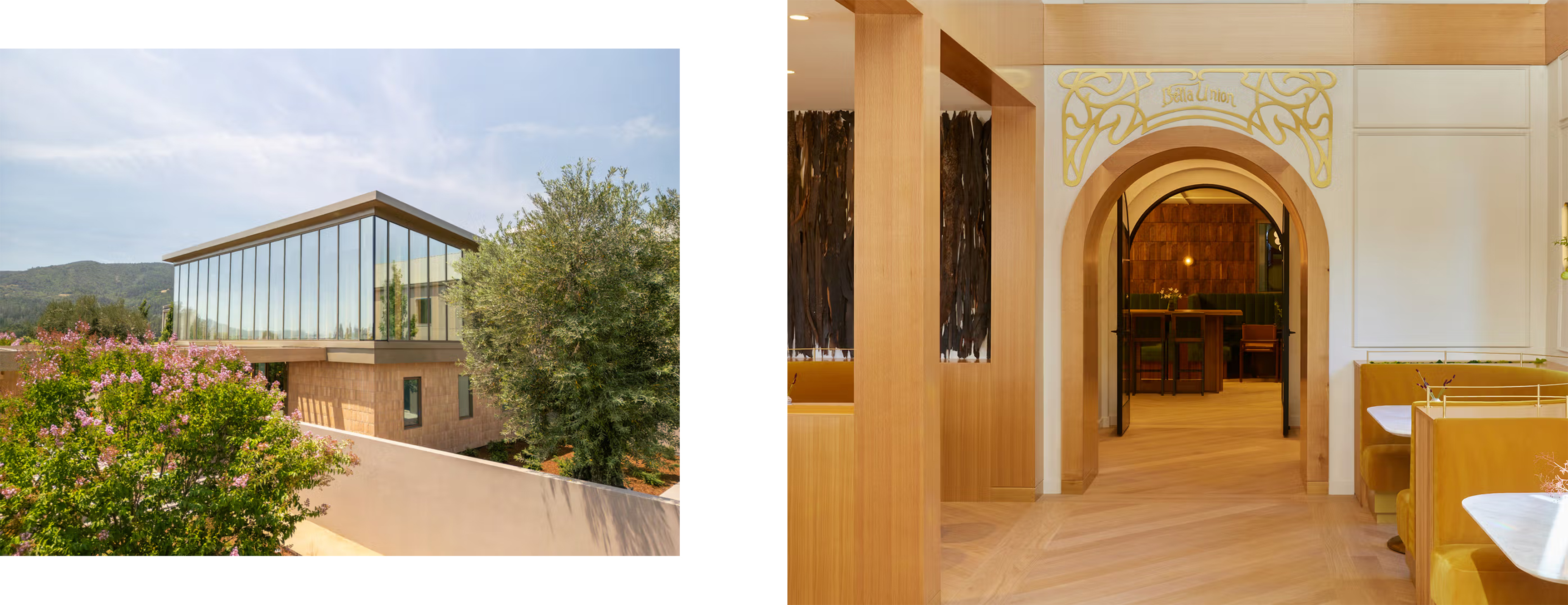 bellaimage01.jpg bellaimage01.jpg