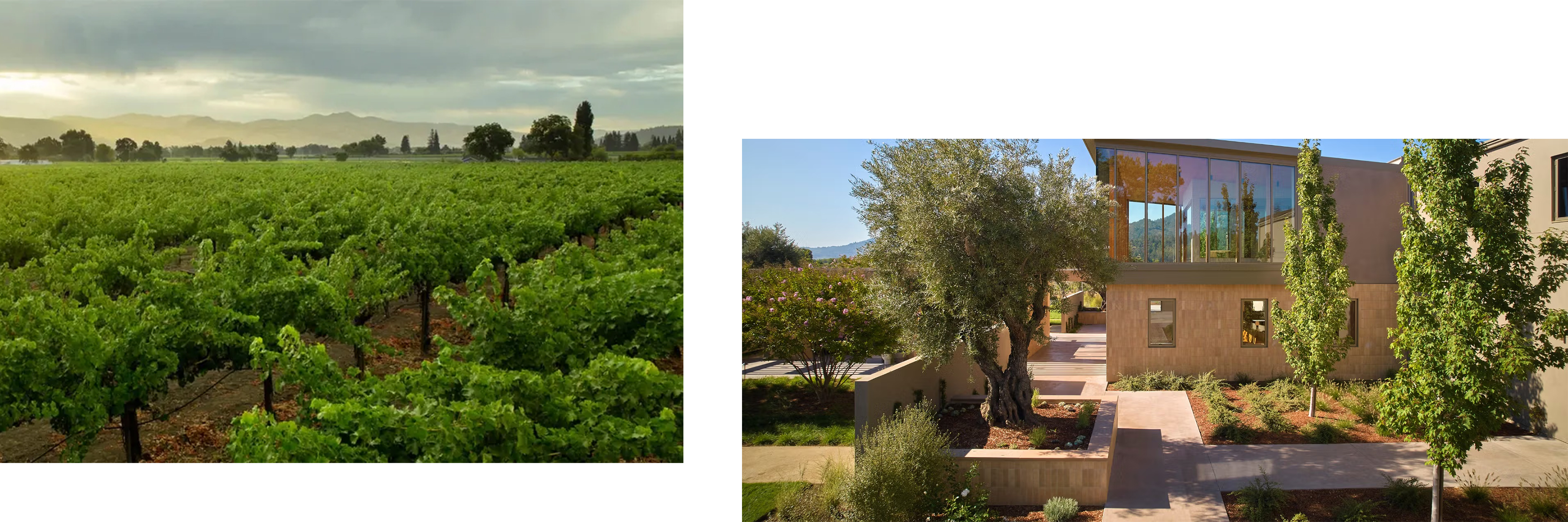 bellaimahe02.jpg bellaimahe02.jpg