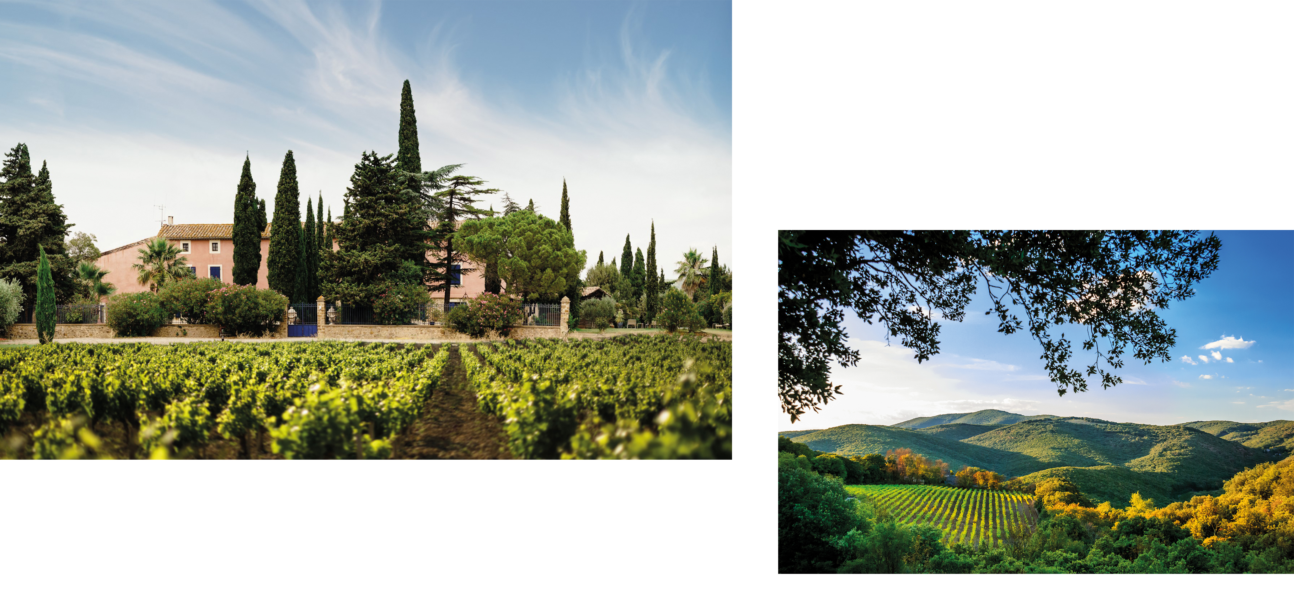 contentimage03.jpg contentimage03.jpg