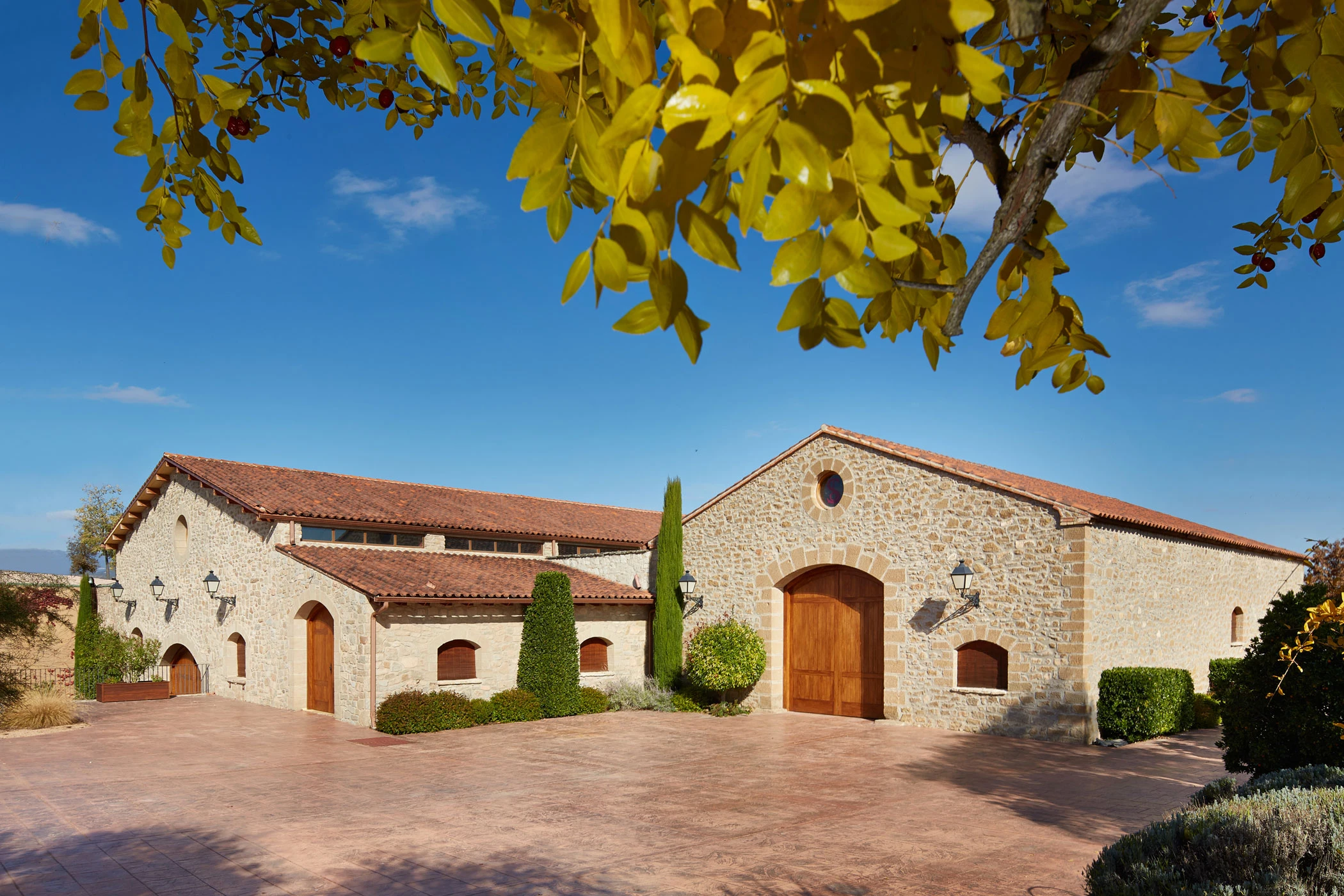 costers_finca_10-15_022_mid_res.webp costers_finca_10-15_022_mid_res.webp