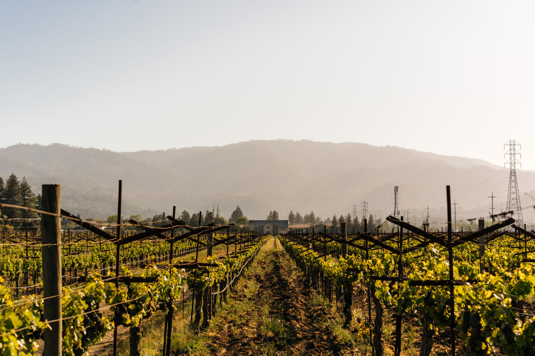 crockerstarr1.jpeg crockerstarr1.jpeg