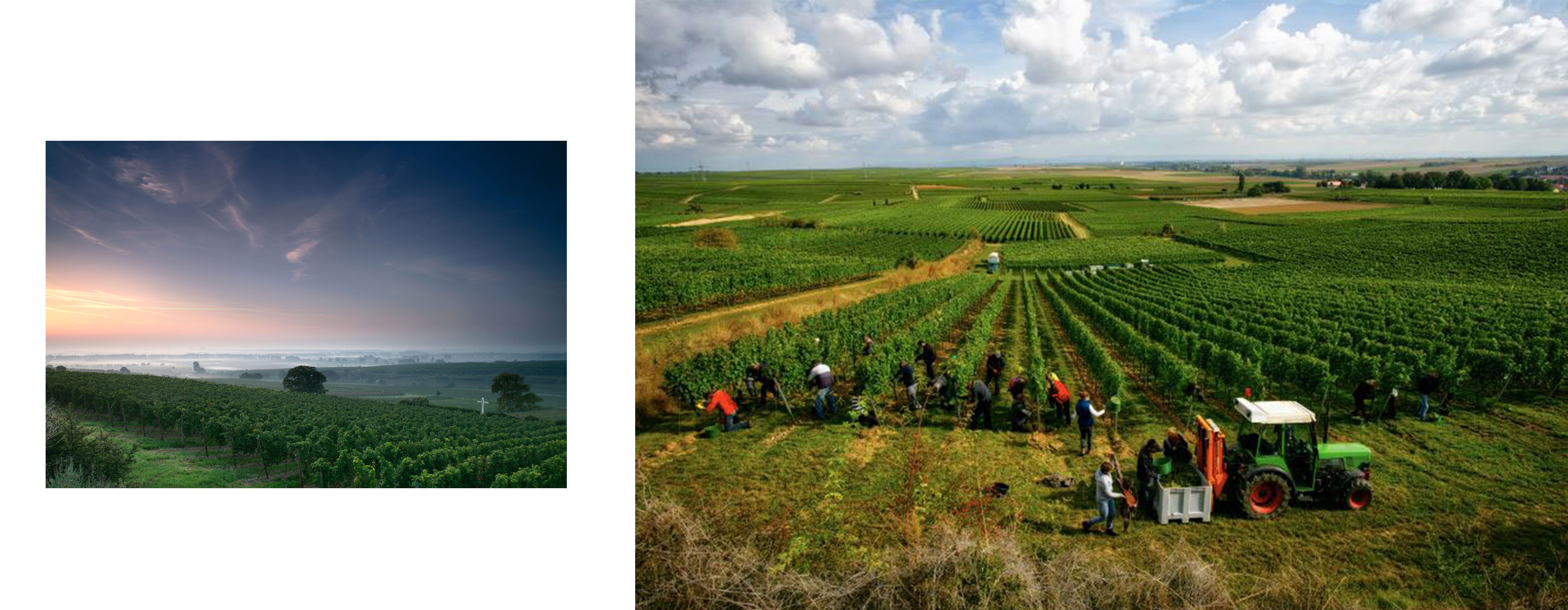 dfelderimage.jpg dfelderimage.jpg