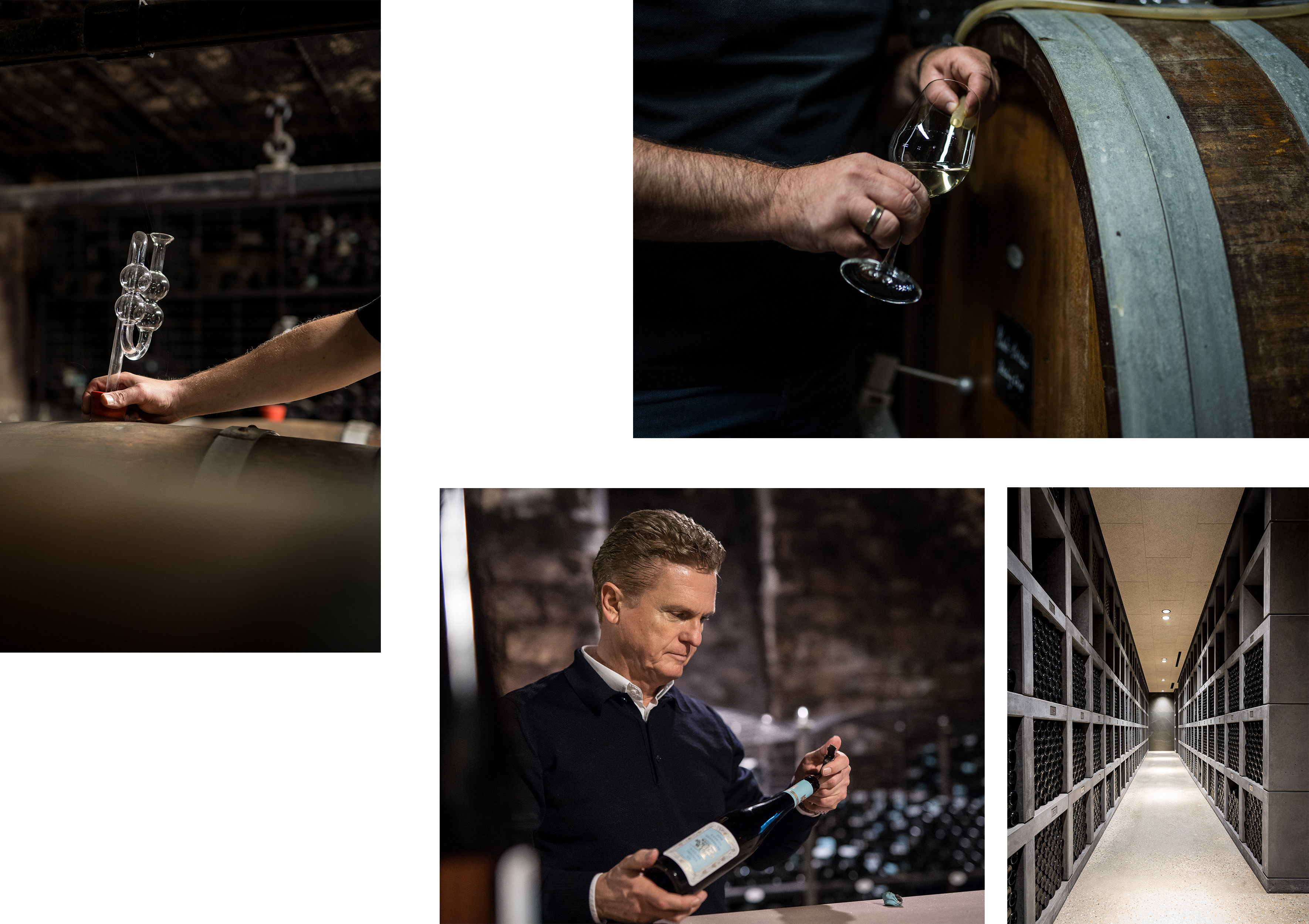 eobertweil08image.jpg eobertweil08image.jpg