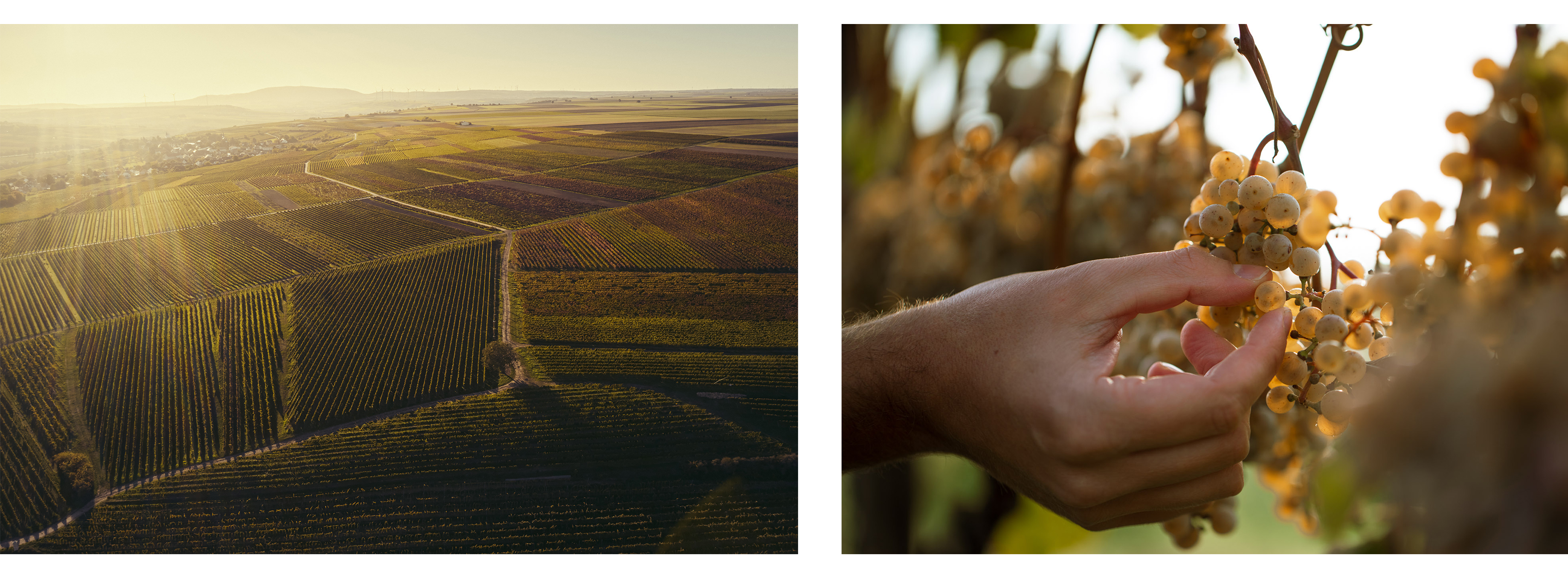 finalimage02_.jpg finalimage02_.jpg