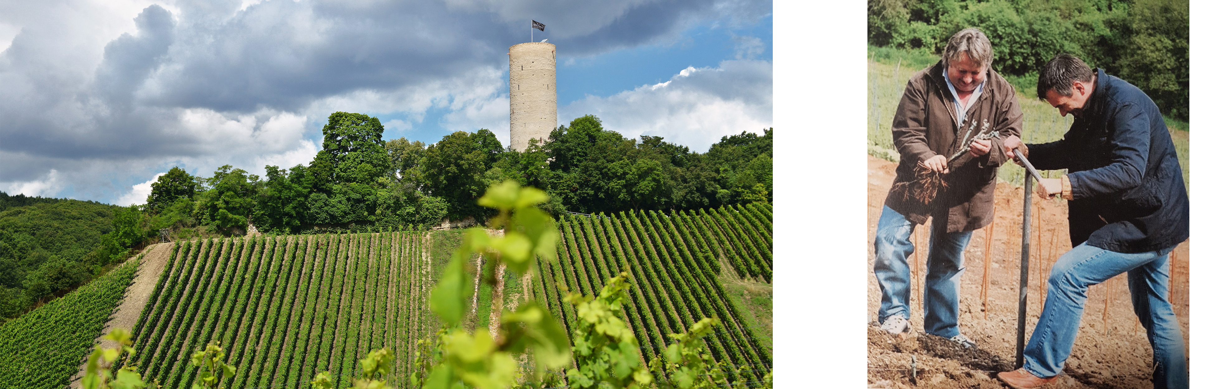 finalturmbergimage.jpg finalturmbergimage.jpg