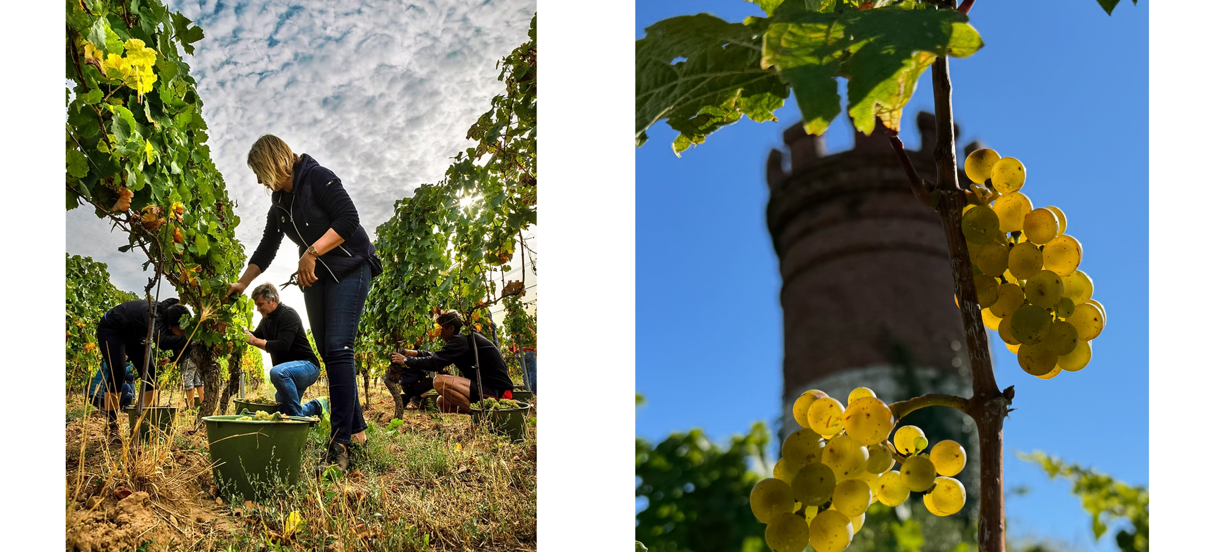 kellerimage02.jpg kellerimage02.jpg