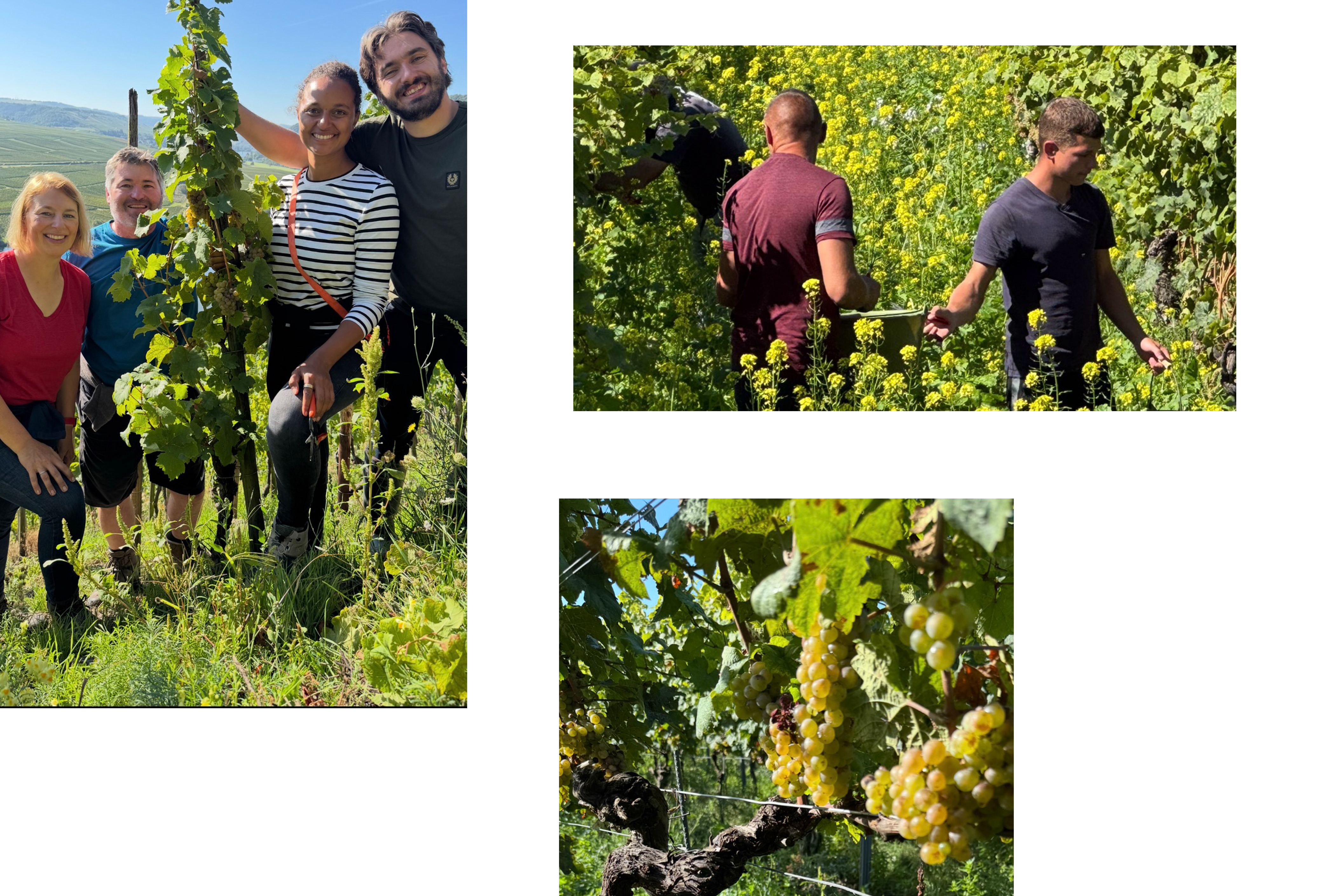 klaskeller02.jpg klaskeller02.jpg