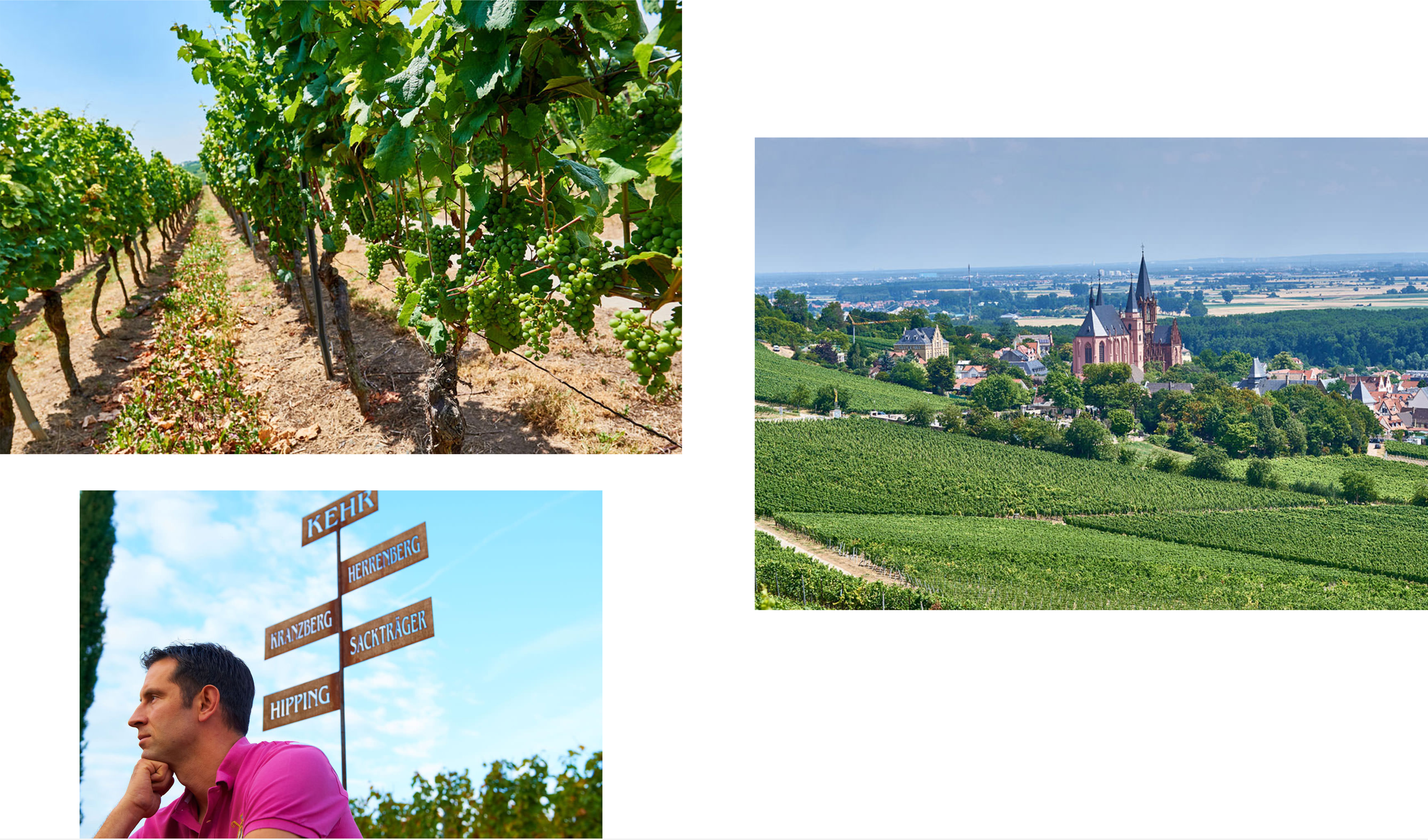 manzregionlage.jpg manzregionlage.jpg