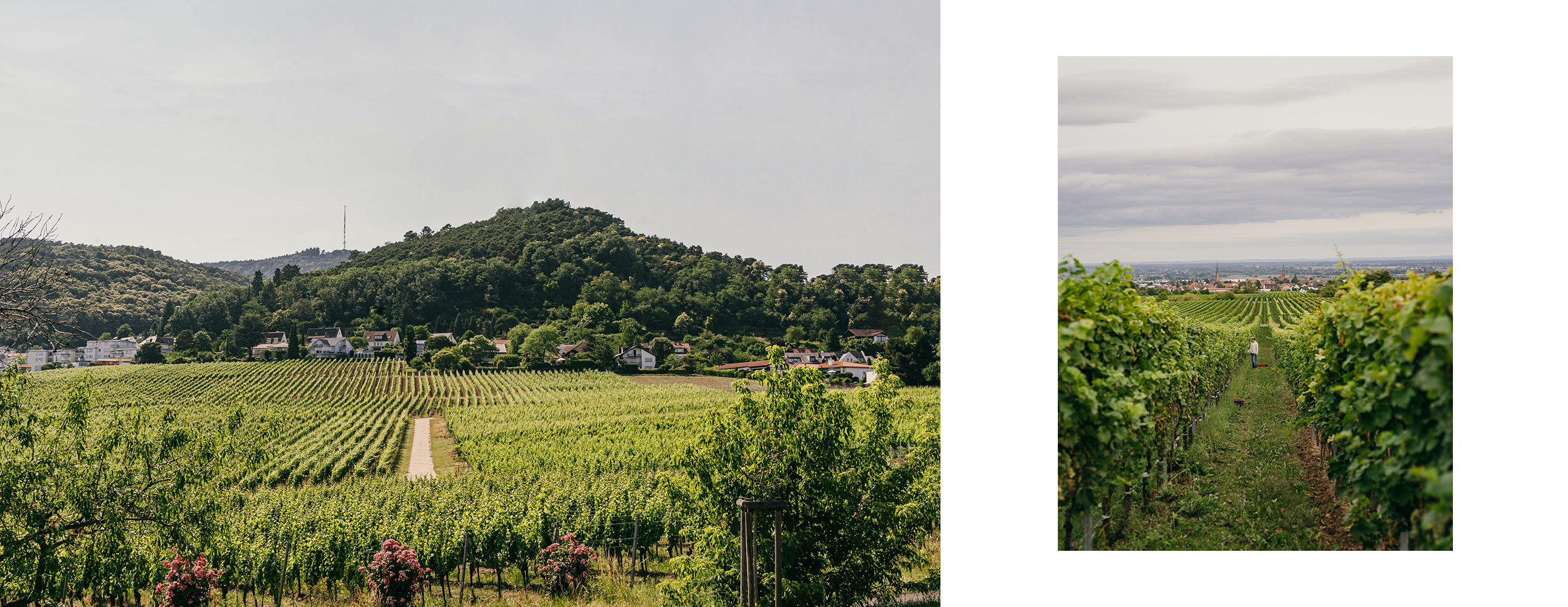 oliverzeterimage03.jpg oliverzeterimage03.jpg