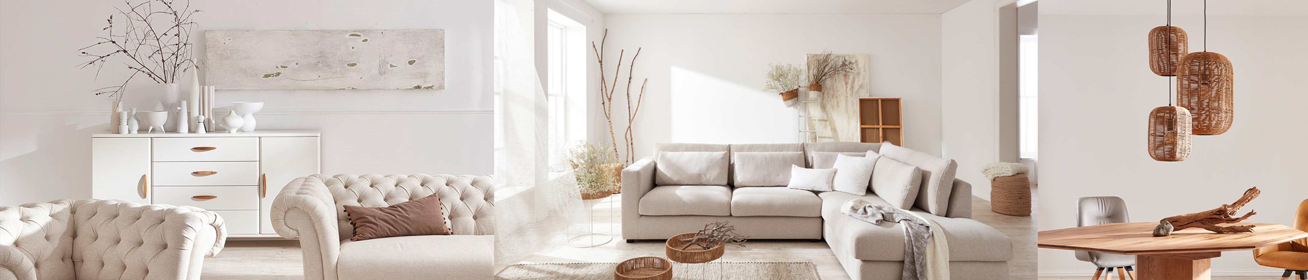 ostrmannbannersansibar.jpg ostrmannbannersansibar.jpg