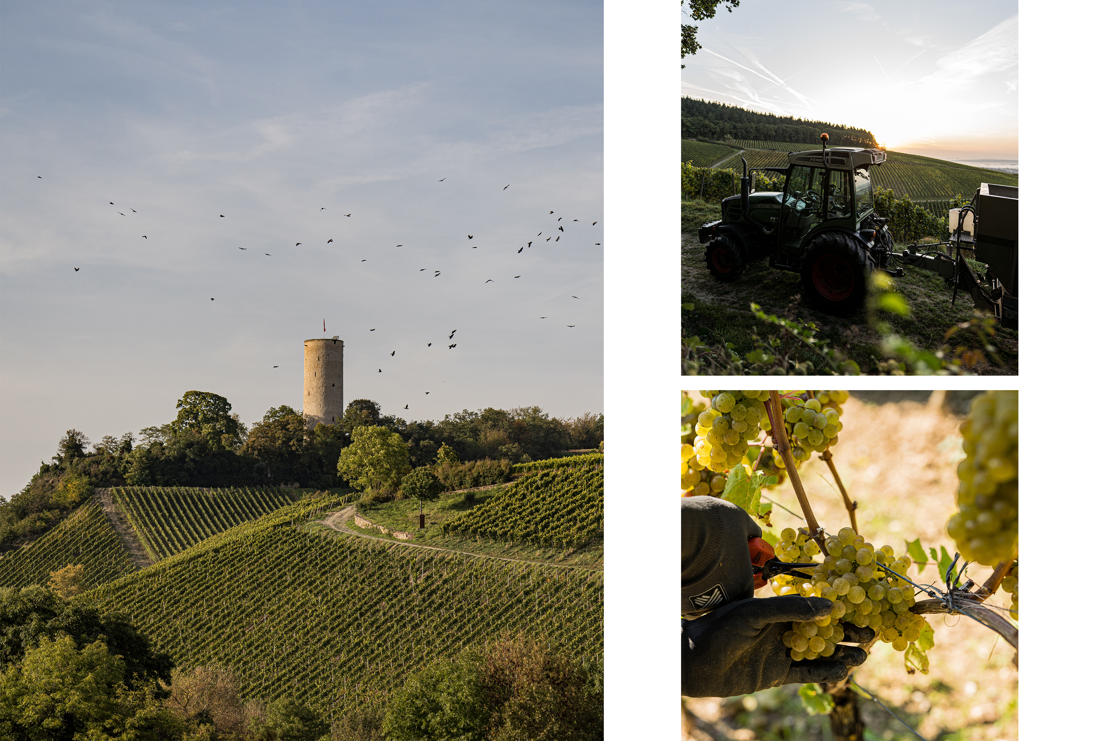 robertweilimage05.jpg robertweilimage05.jpg