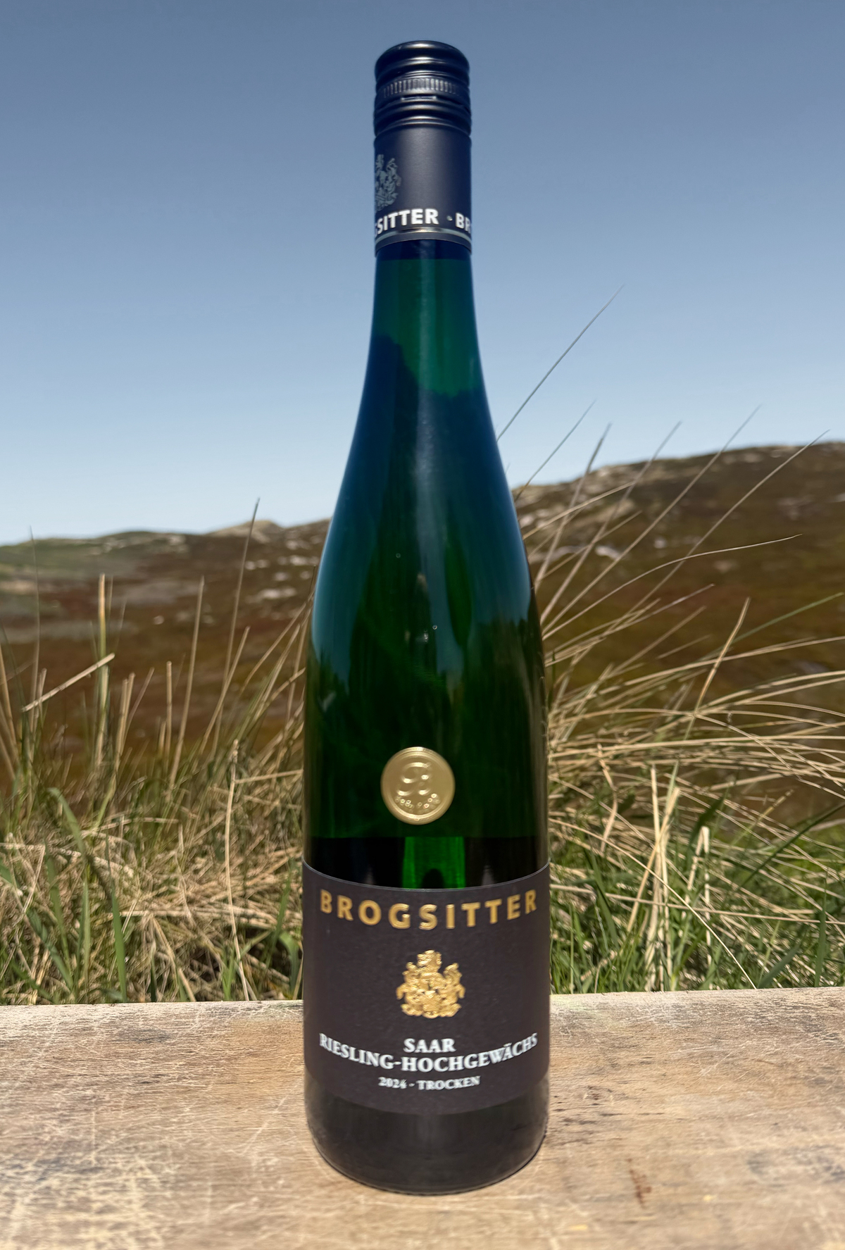 2024 Brogsitter Riesling Hochgewächs Ockfener Scharzberg trocken 0,75l 2024 Brogsitter Riesling Hochgewächs Ockfener Scharzberg trocken 0,75l