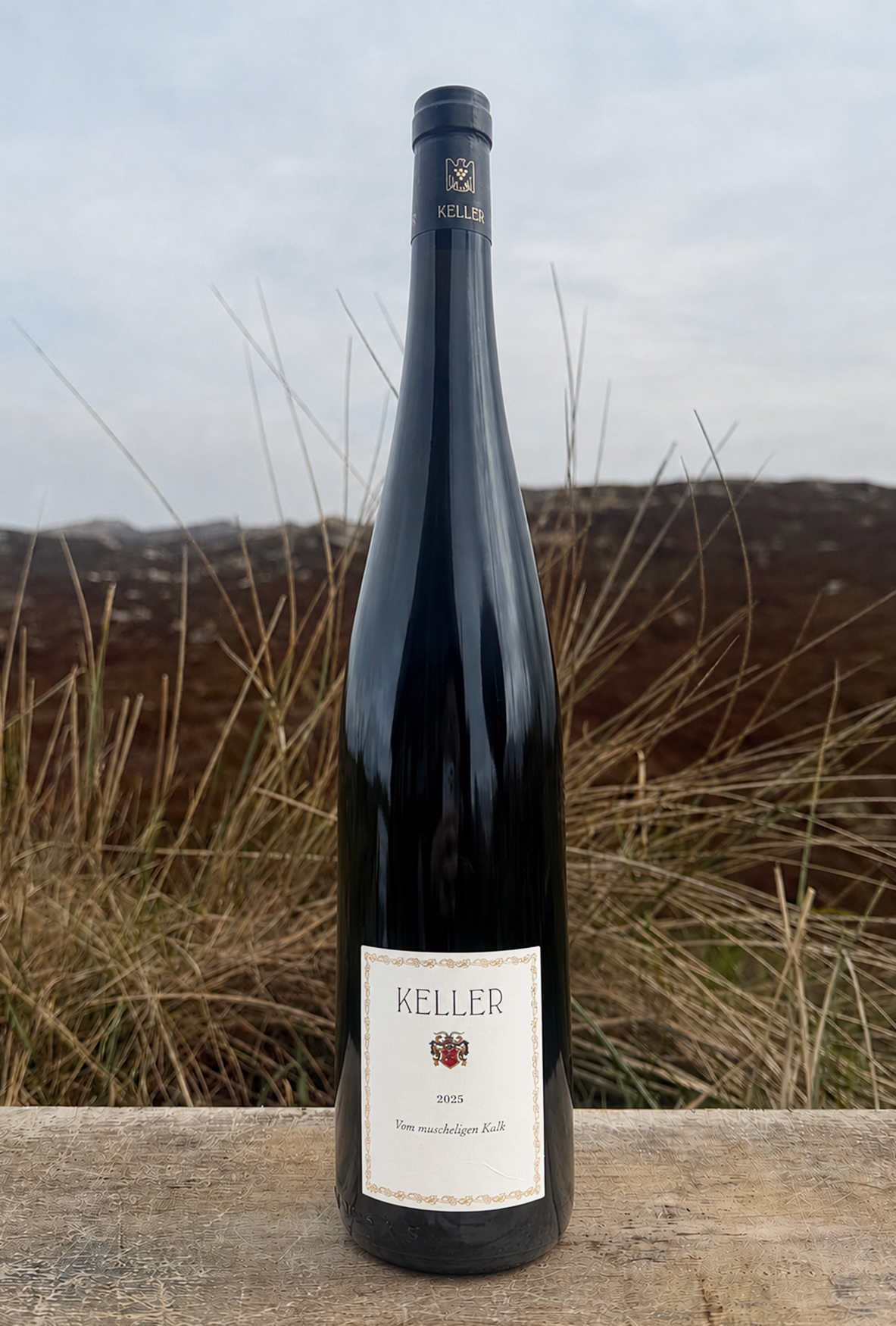 2025 Klaus Keller "vom muscheligen Kalk" only Sansibar Magnum 2025 Klaus Keller "vom muscheligen Kalk" only Sansibar Magnum