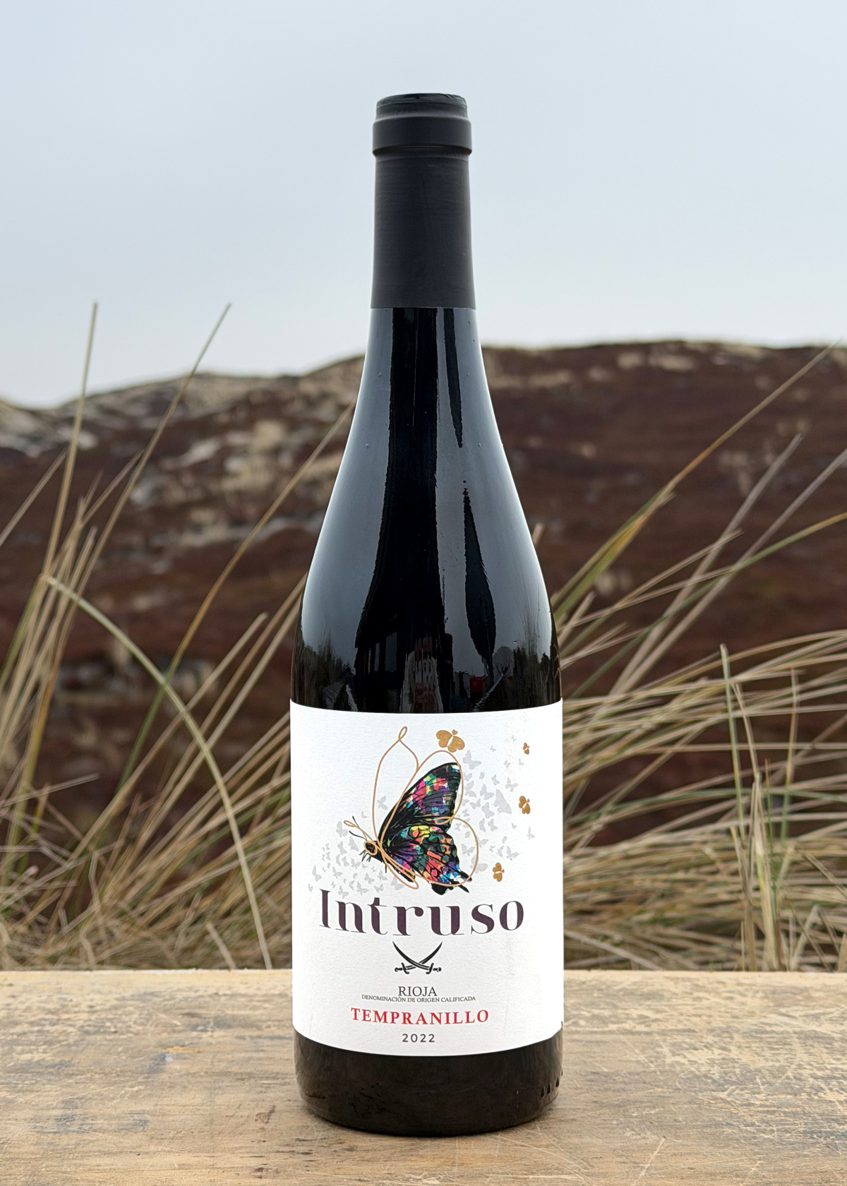 2022 Gil Intruso Rioja only Sansibar 0,75l 2022 Gil Intruso Rioja only Sansibar 0,75l