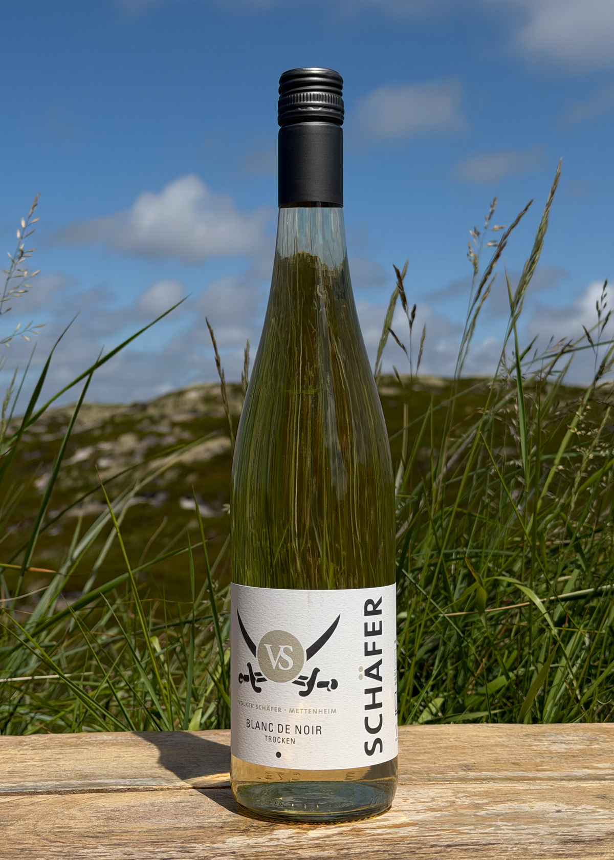 2025 Schäfer Spätburgunder "only Sansibar" 0,75l 2025 Schäfer Spätburgunder "only Sansibar" 0,75l