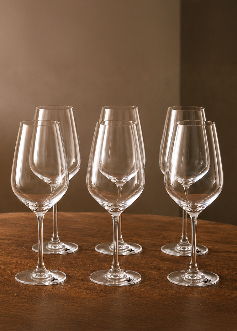 Sansibar Zwiesel Weißweinglas 6er Set Sansibar Zwiesel Weißweinglas 6er Set