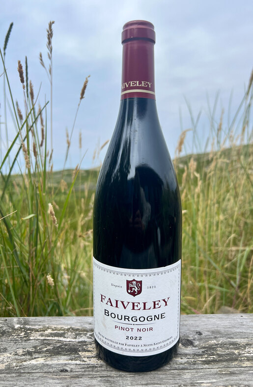 2022 Domaine Faiveley Pinot Noir Bourgogne 0,75l  2022 Domaine Faiveley Pinot Noir Bourgogne 0,75l