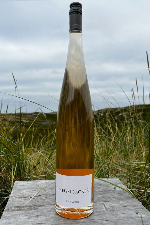 2022 Dreissigacker Pino & Co Rosé "only Sansibar" 1,5l  2022 Dreissigacker Pino & Co Rosé "only Sansibar" 1,5l