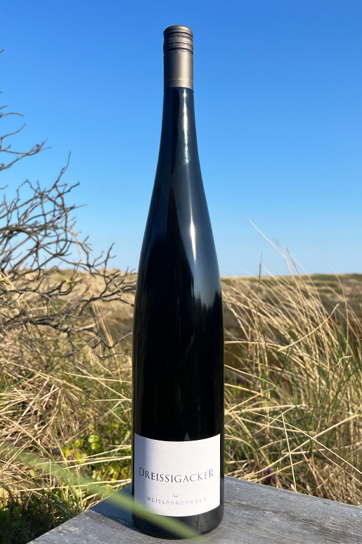 2022 Dreissigacker Weissburgunder "only Sansibar" 1,5l 2022 Dreissigacker Weissburgunder "only Sansibar" 1,5l